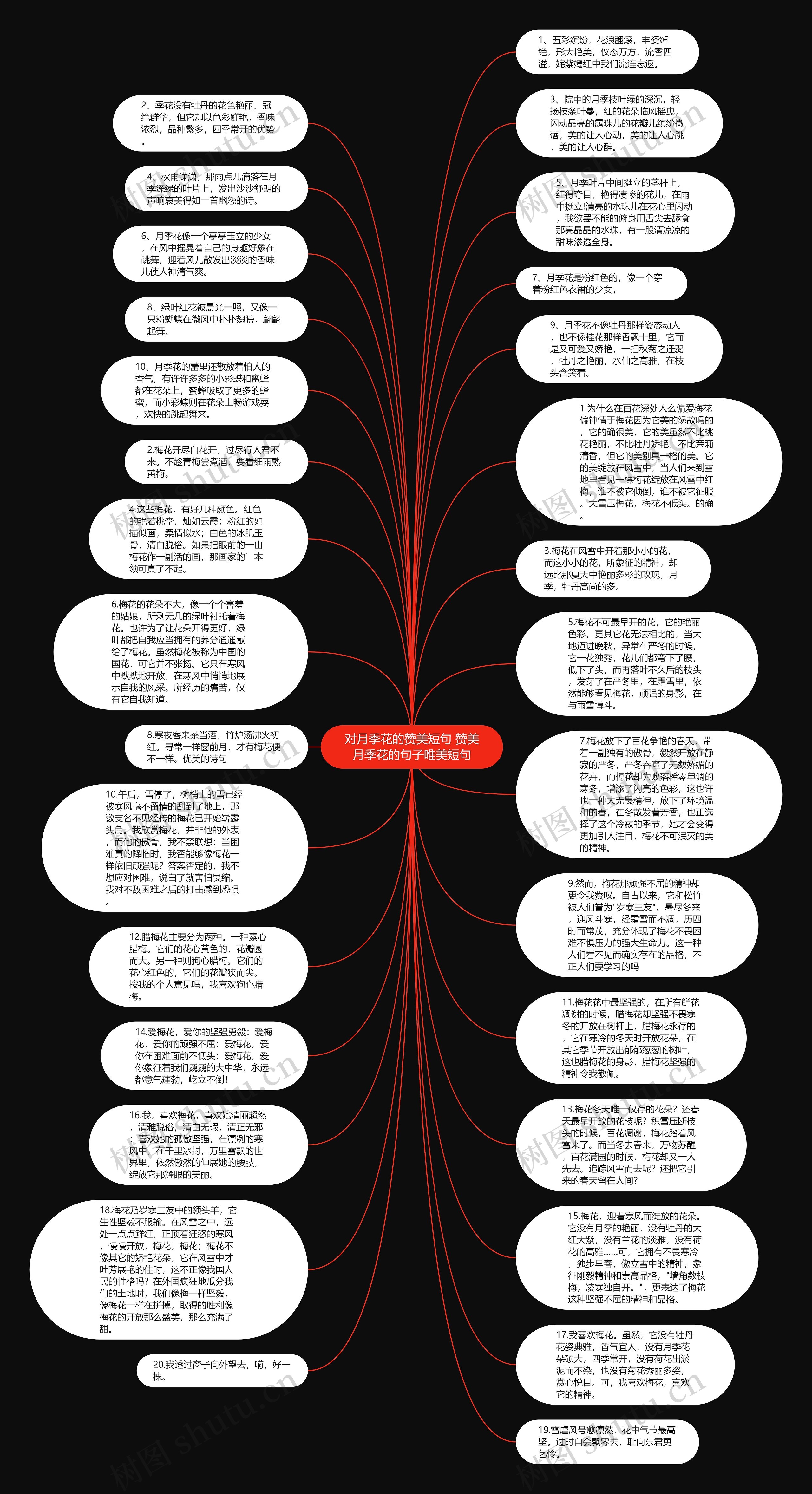 对月季花的赞美短句 赞美月季花的句子唯美短句思维导图