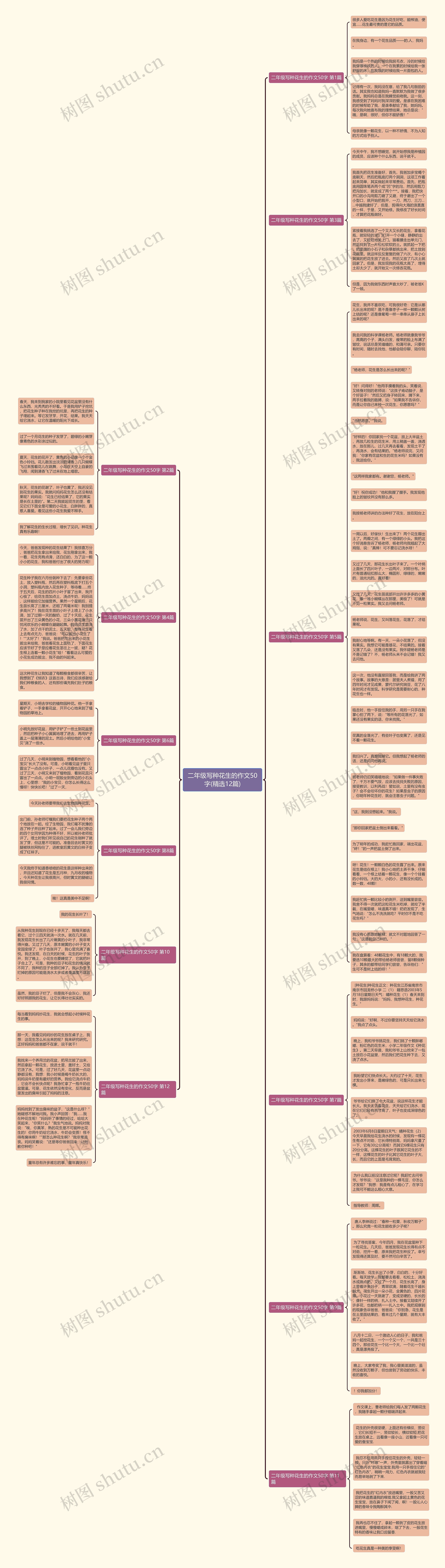 二年级写种花生的作文50字(精选12篇)思维导图