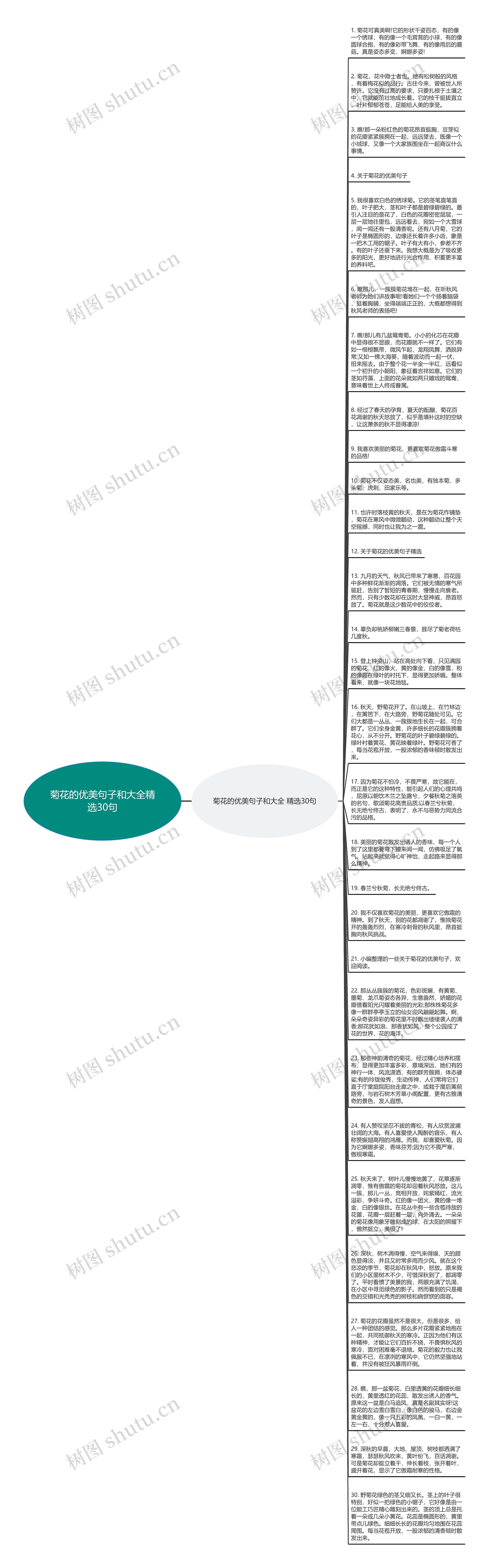 菊花的优美句子和大全精选30句思维导图高清图 菊花的优美句子和大全精选30句思维导图