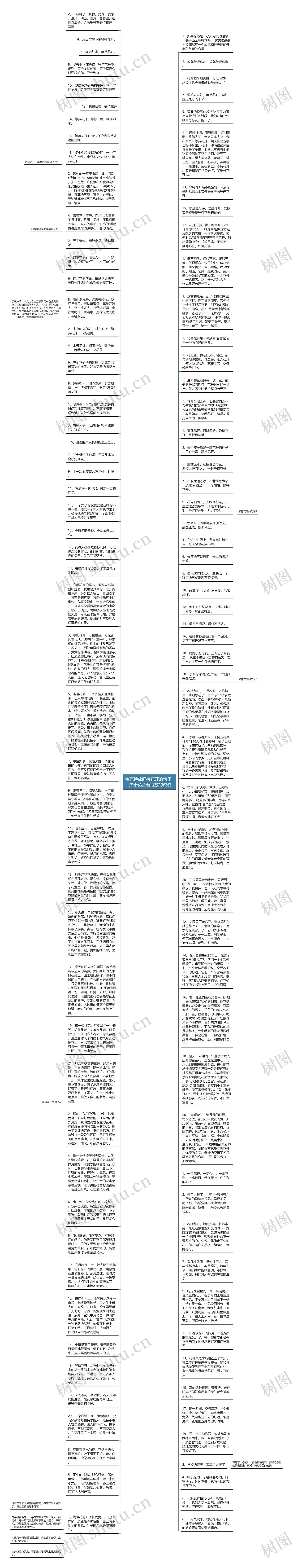 含苞待放静待花开的句子   关于花含苞待放的说说思维导图