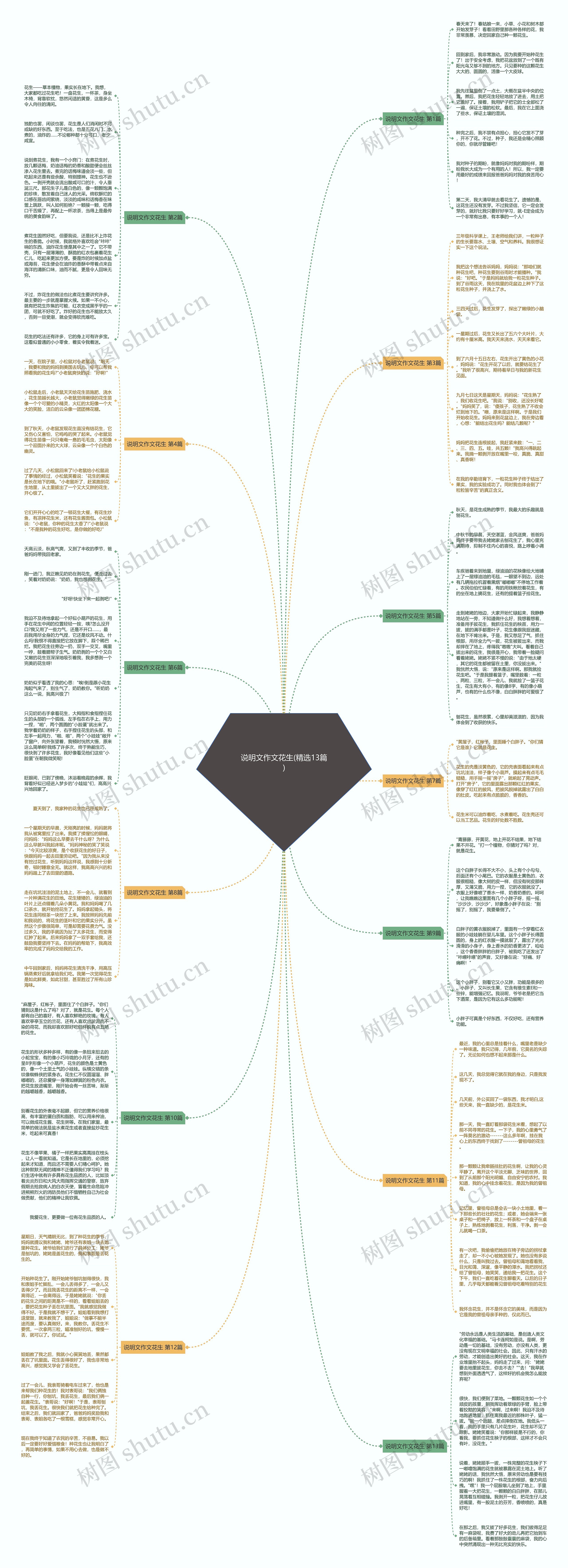 说明文作文花生(精选13篇)思维导图