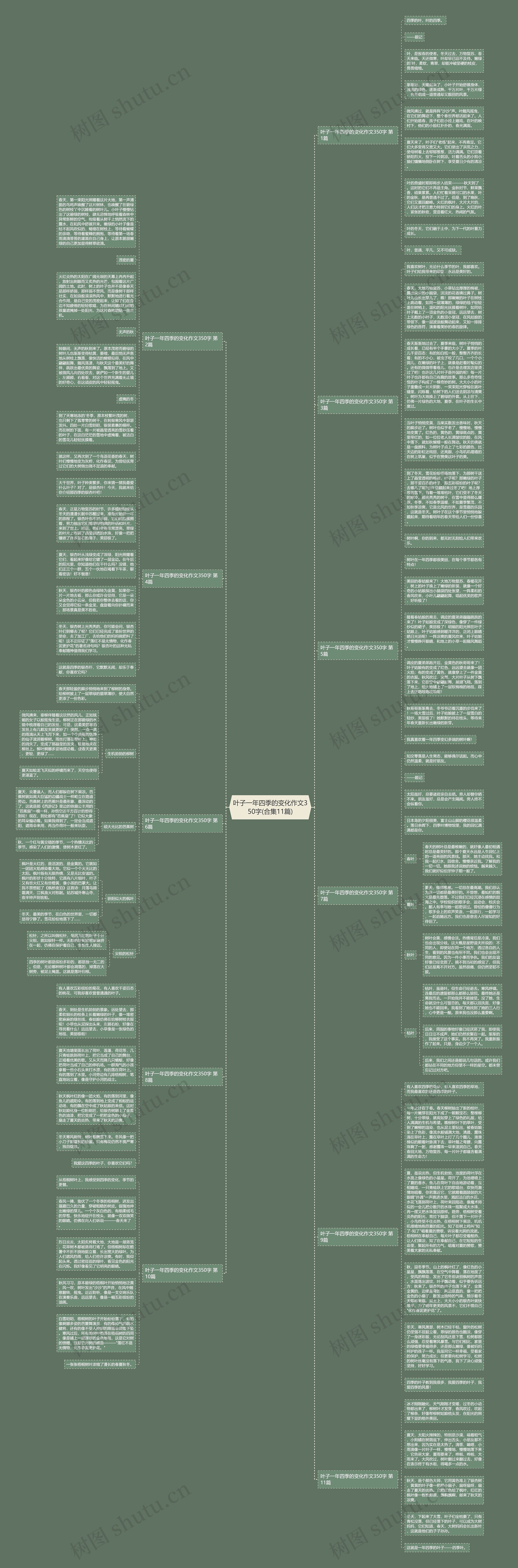 叶子一年四季的变化作文350字(合集11篇)思维导图高清图 叶子一年四季的变化作文350字(合集11篇)思维导图