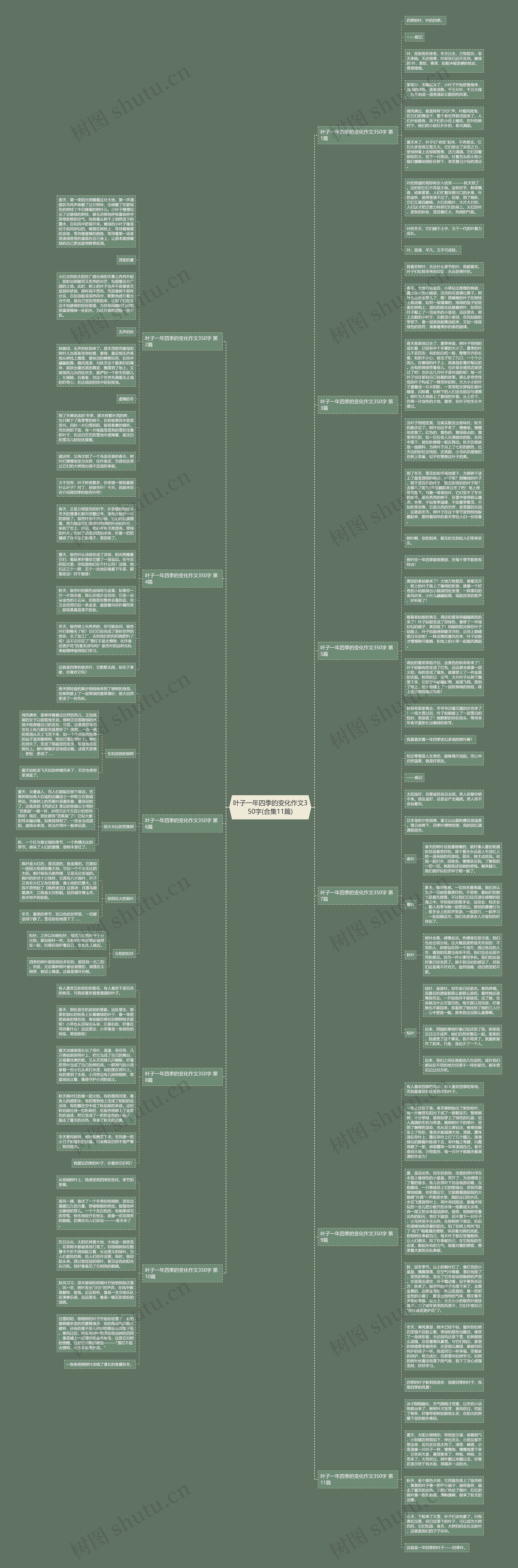 叶子一年四季的变化作文350字(合集11篇)思维导图