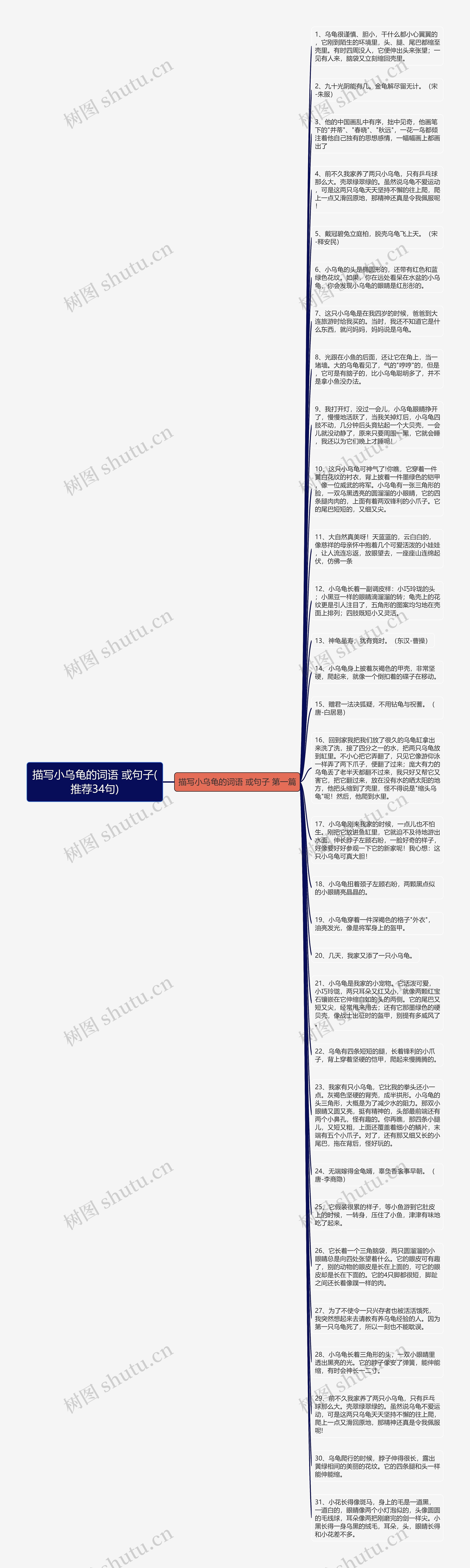 描写小乌龟的词语 或句子(推荐34句)