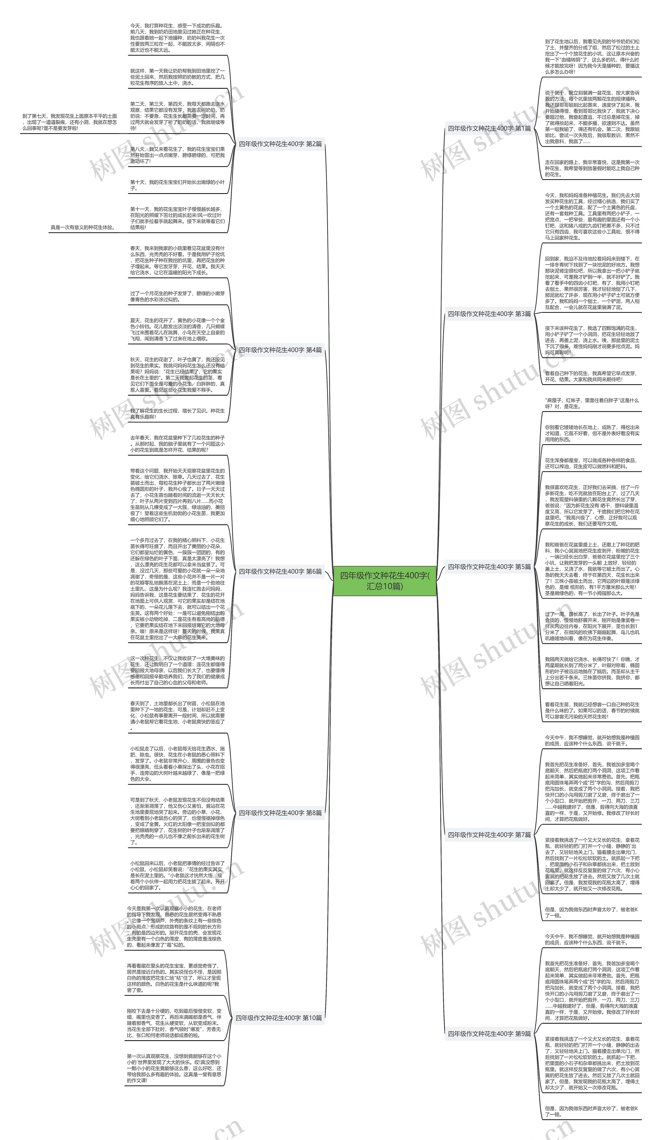 四年级作文种花生400字(汇总10篇)思维导图