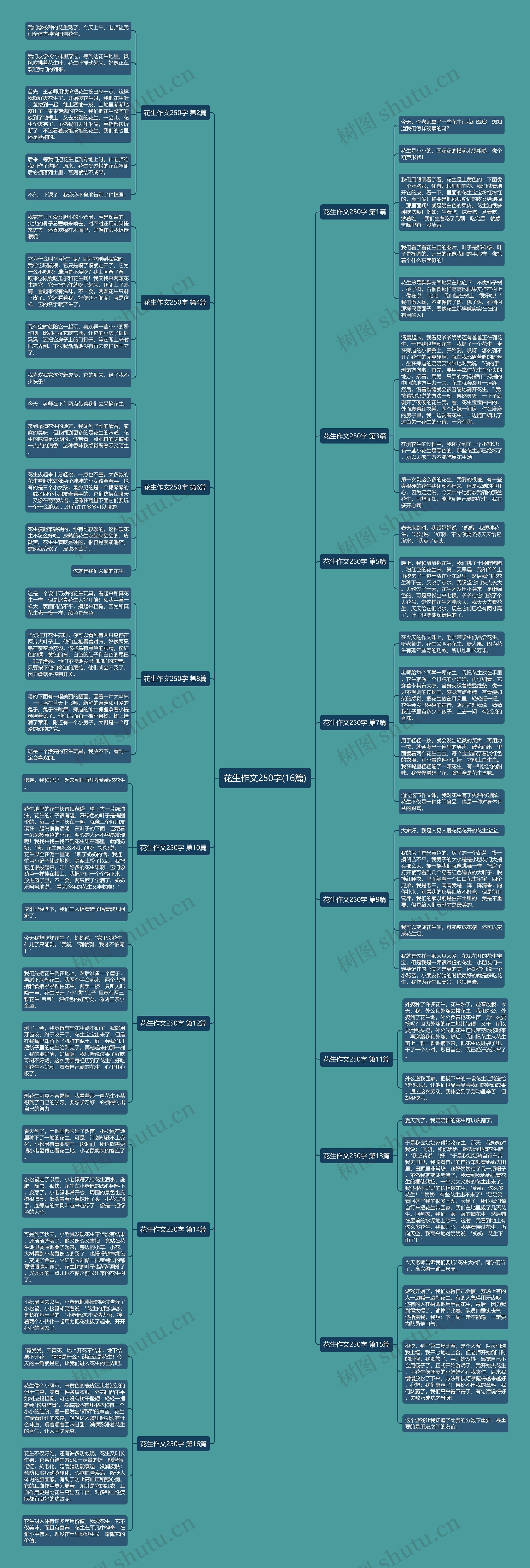 花生作文250字(16篇)思维导图