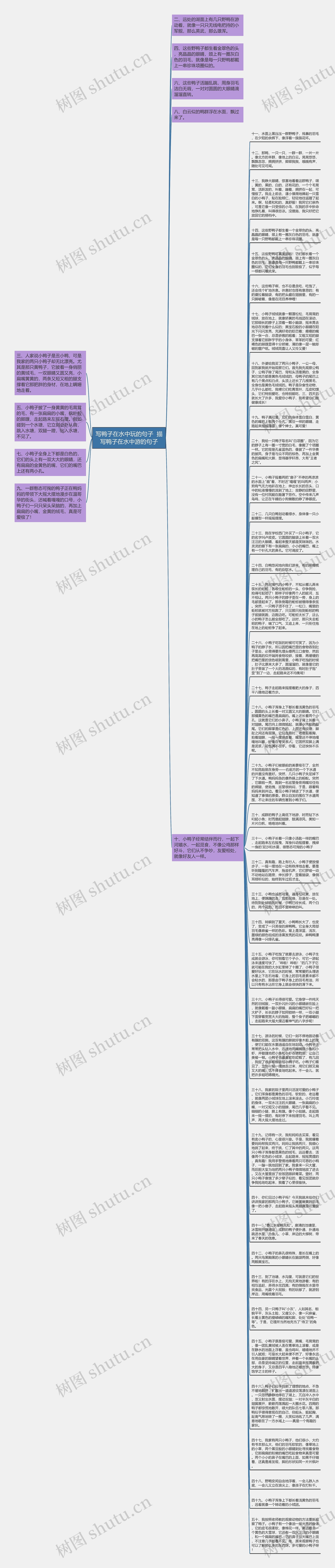 写鸭子在水中玩的句子  描写鸭子在水中游的句子思维导图