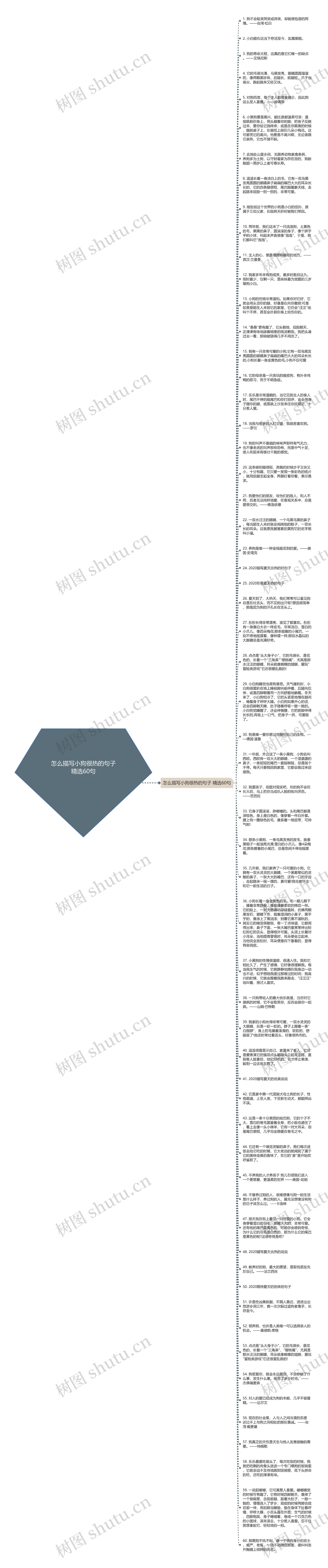 怎么描写小狗很热的句子精选60句思维导图