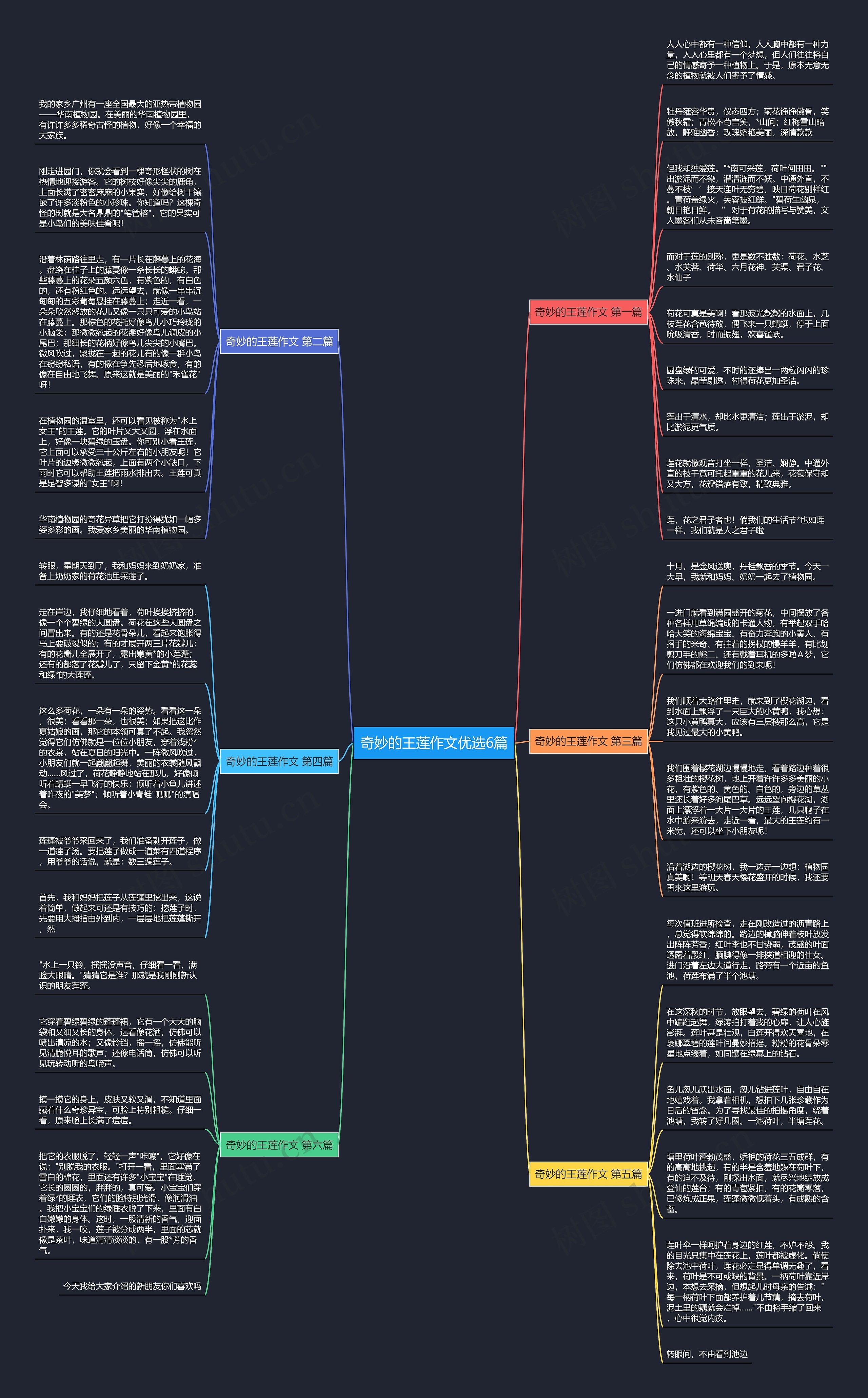 奇妙的王莲作文优选6篇思维导图