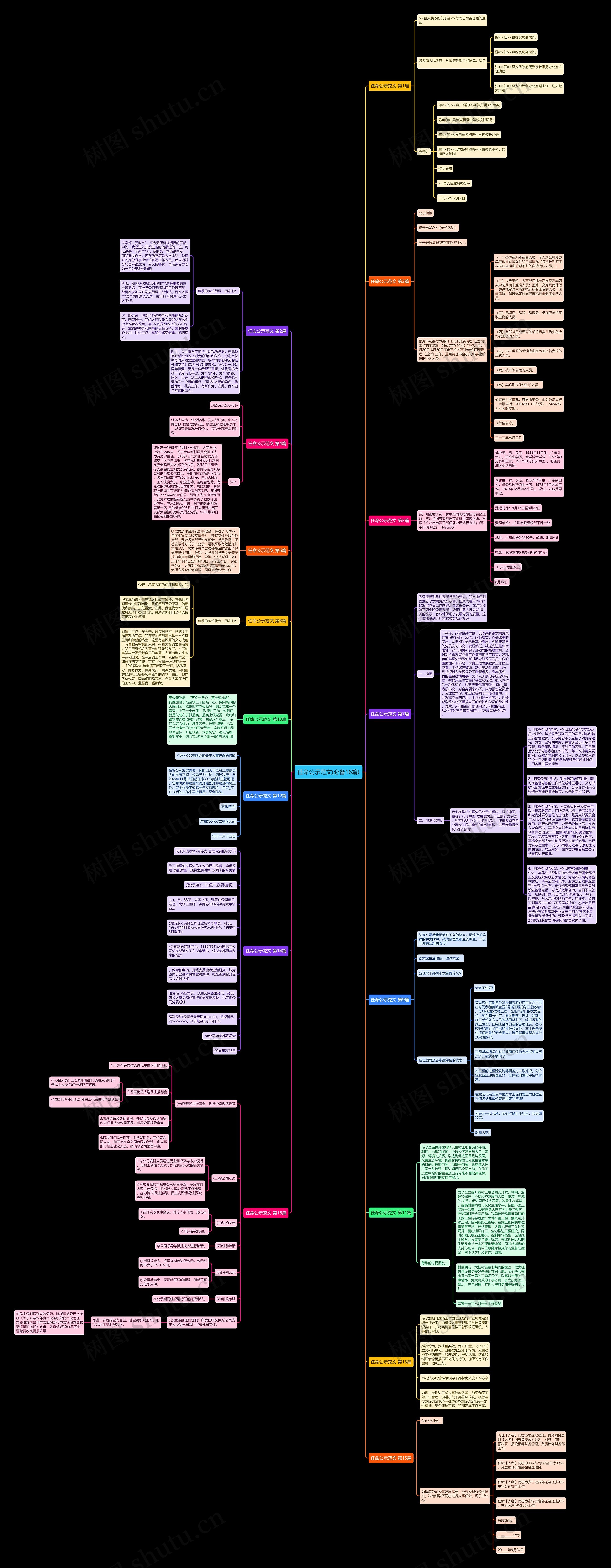 任命公示范文(必备16篇)思维导图