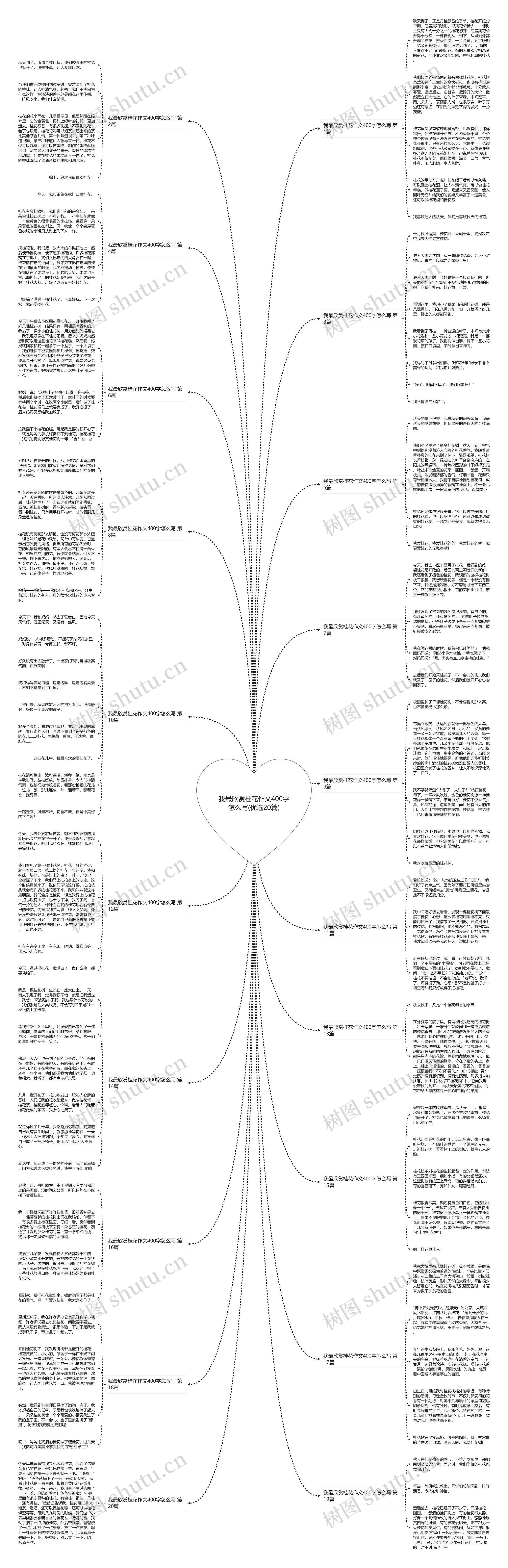 我最欣赏桂花作文400字怎么写(优选20篇)思维导图