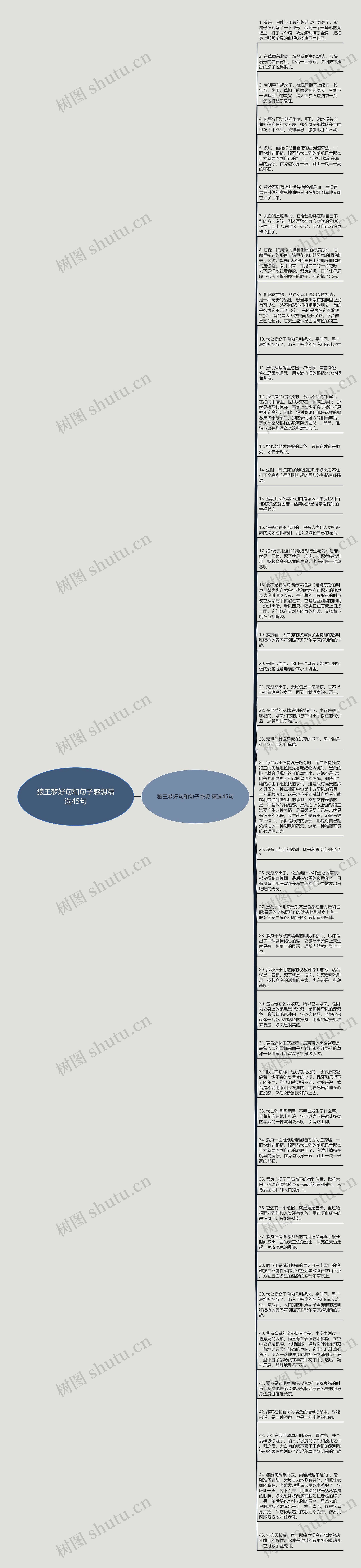 狼王梦好句和句子感想精选45句