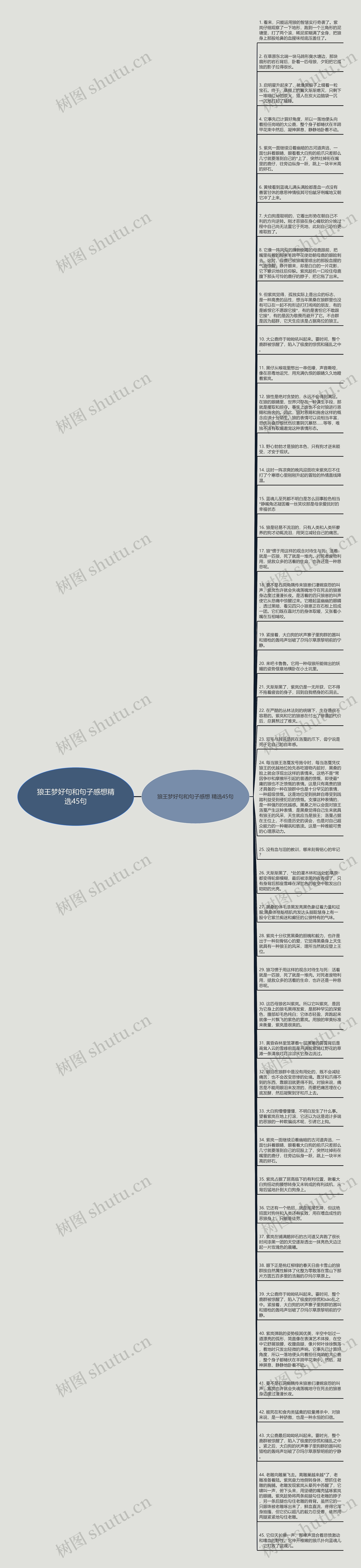 狼王梦好句和句子感想精选45句思维导图