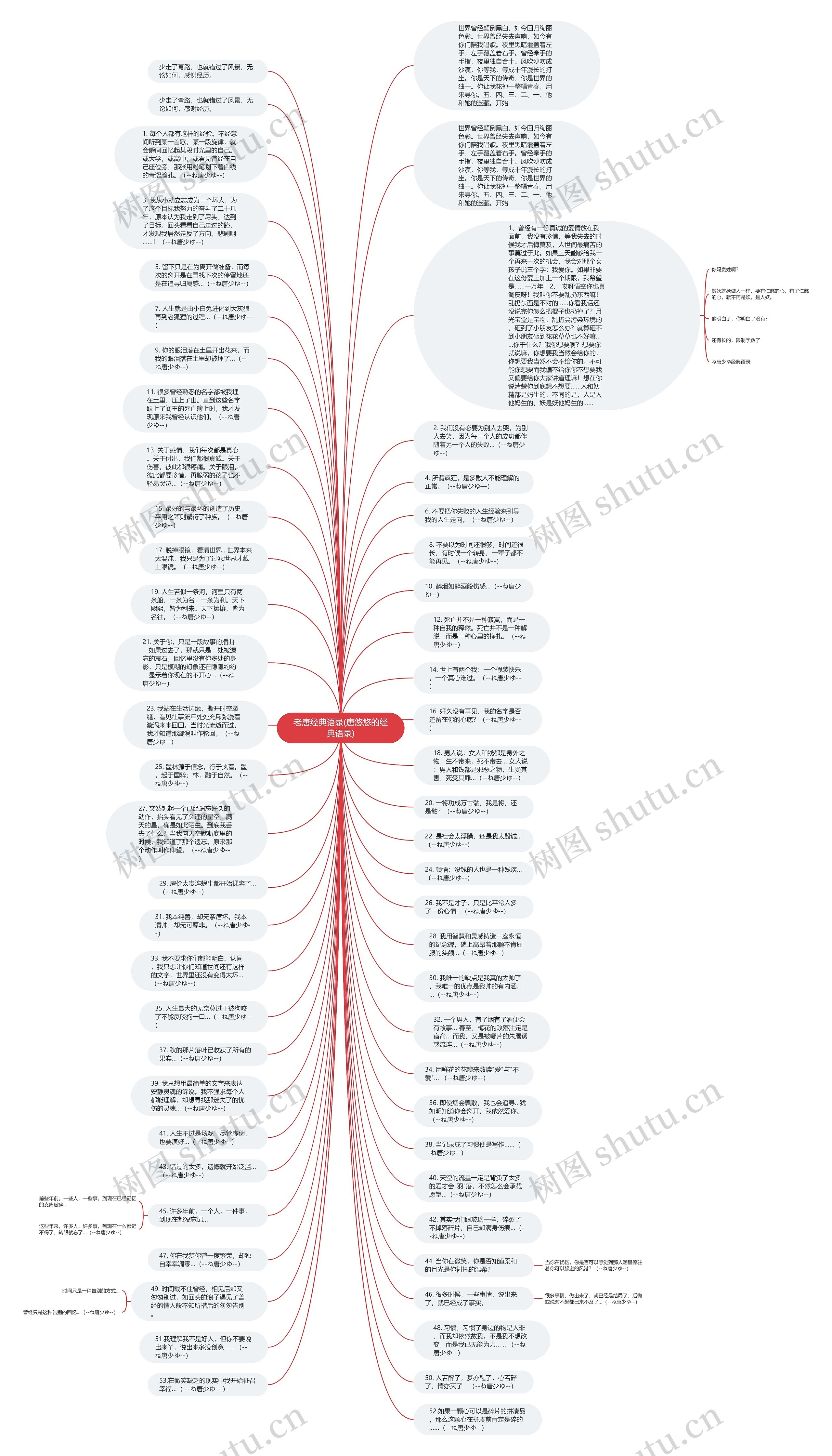 老唐经典语录(唐悠悠的经典语录)思维导图
