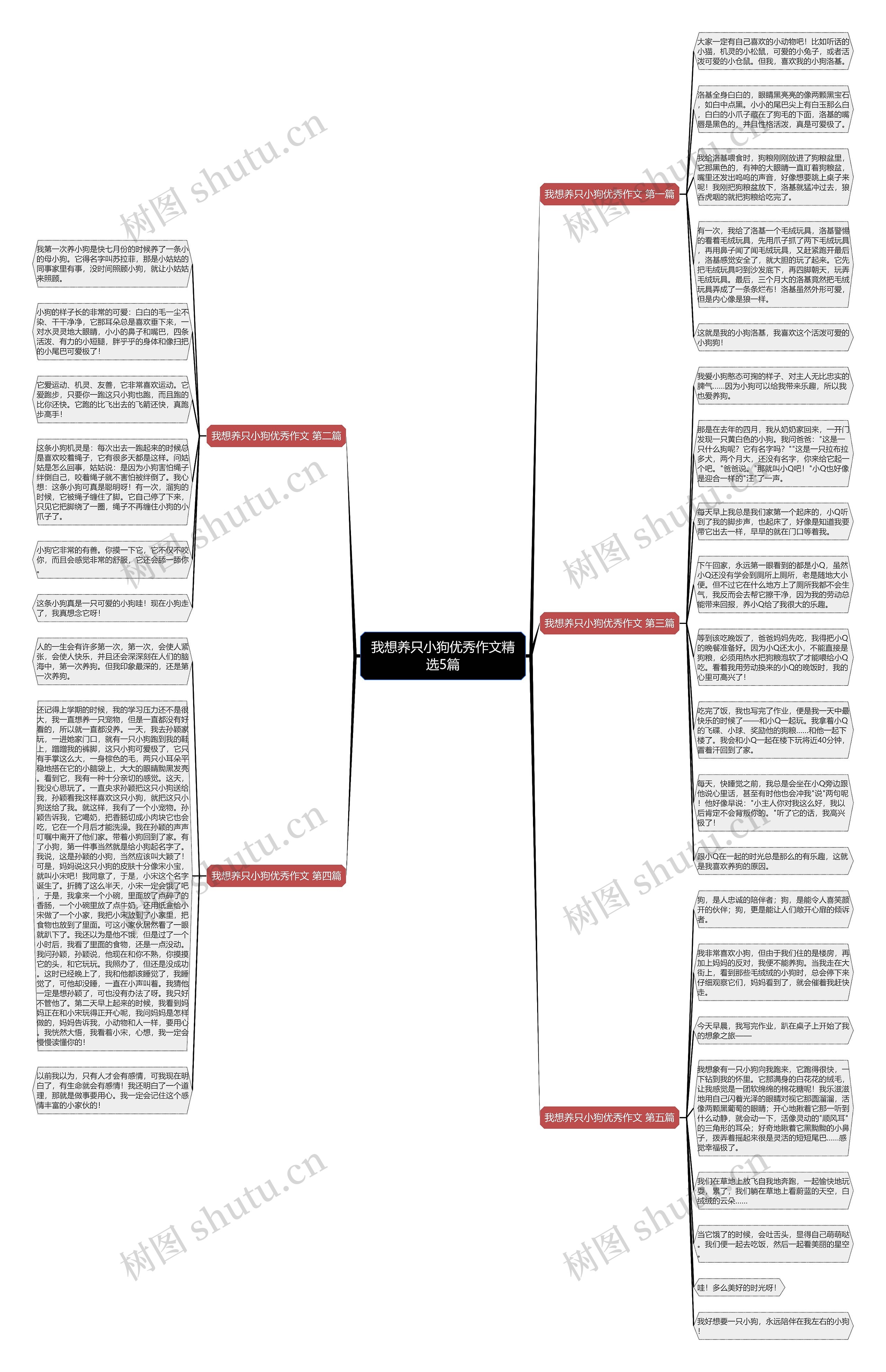 我想养只小狗优秀作文精选5篇 我想养只小狗优秀作文精选5篇