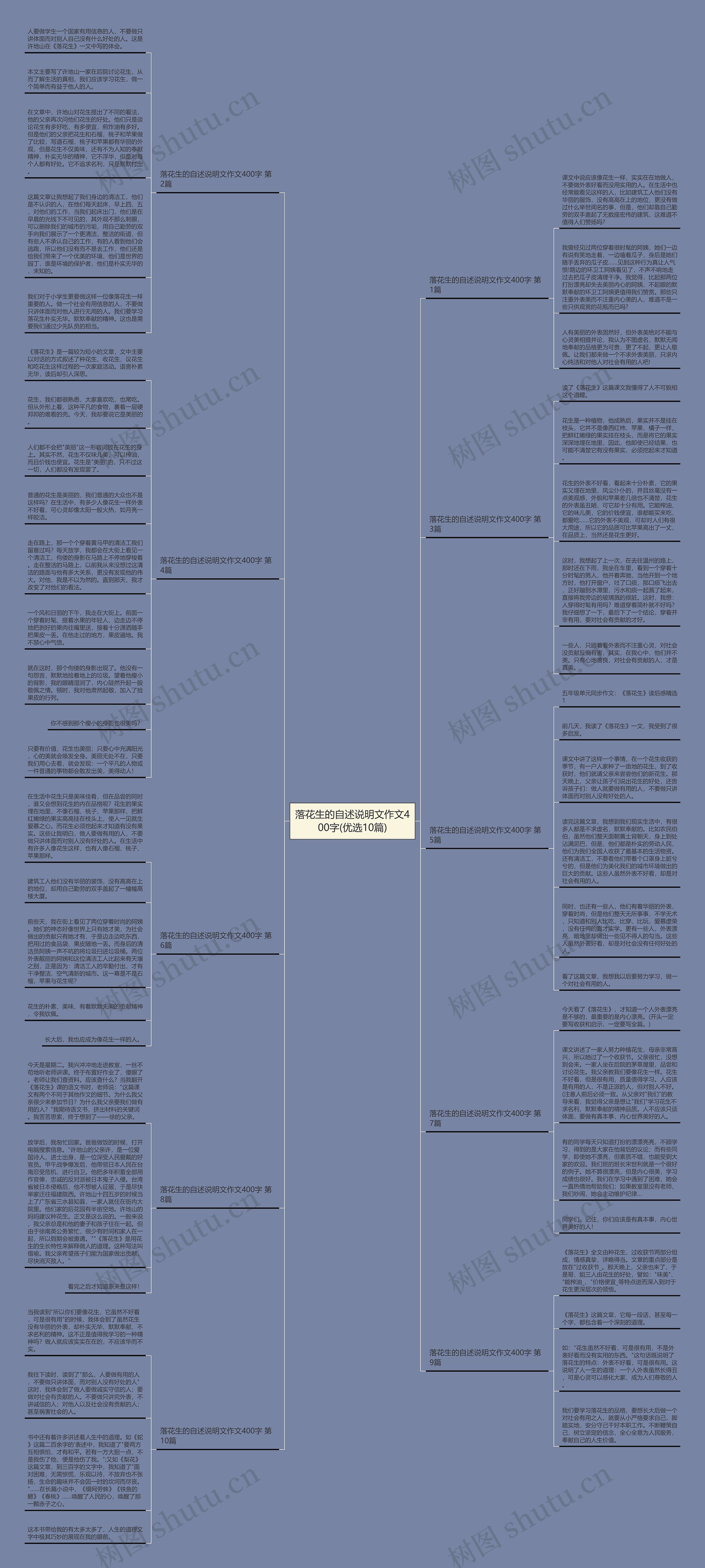落花生的自述说明文作文400字(优选10篇)思维导图