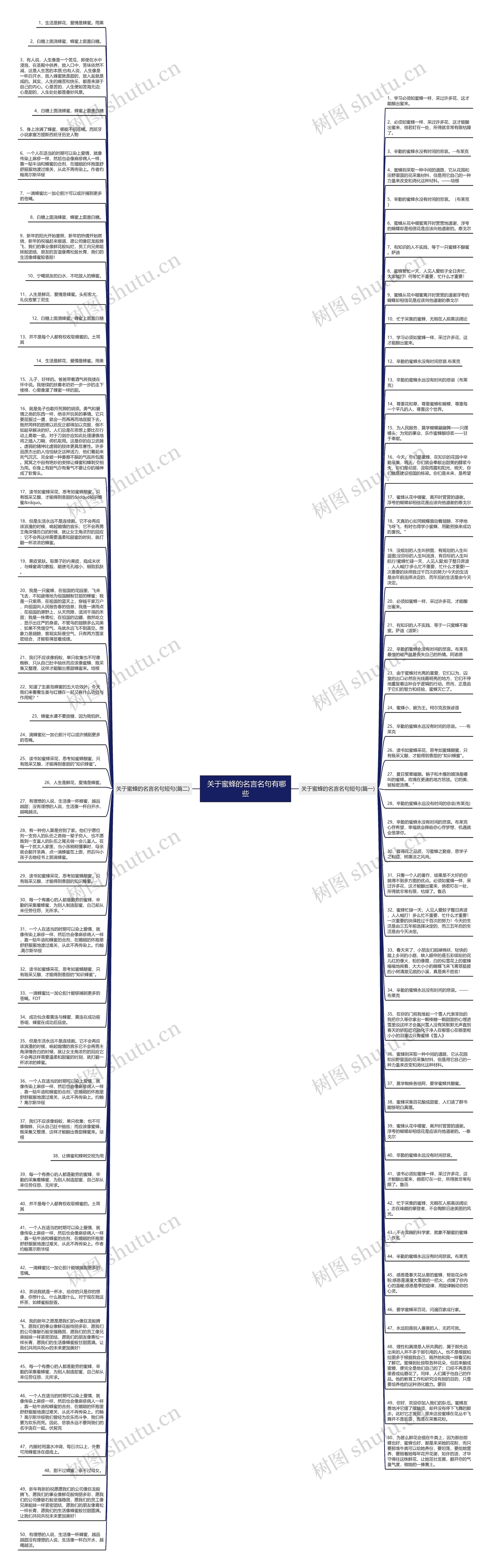 关于蜜蜂的名言名句有哪些思维导图高清图 关于蜜蜂的名言名句有哪些思维导图