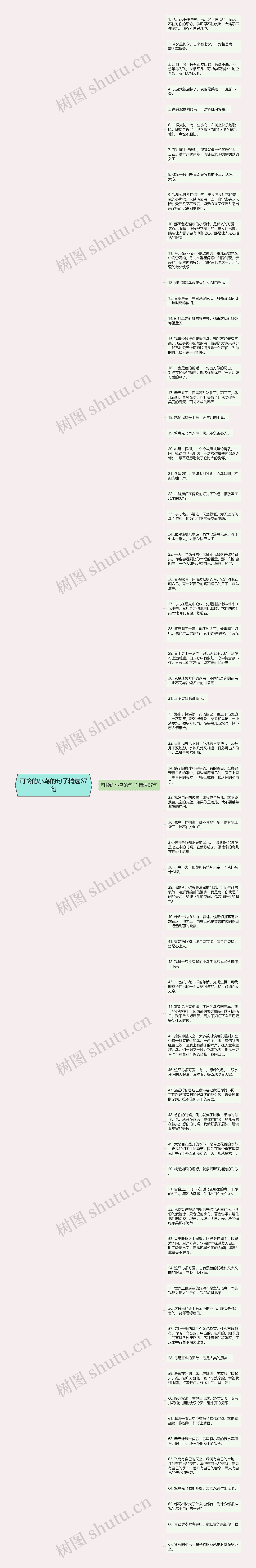 可怜的小鸟的句子精选67句思维导图