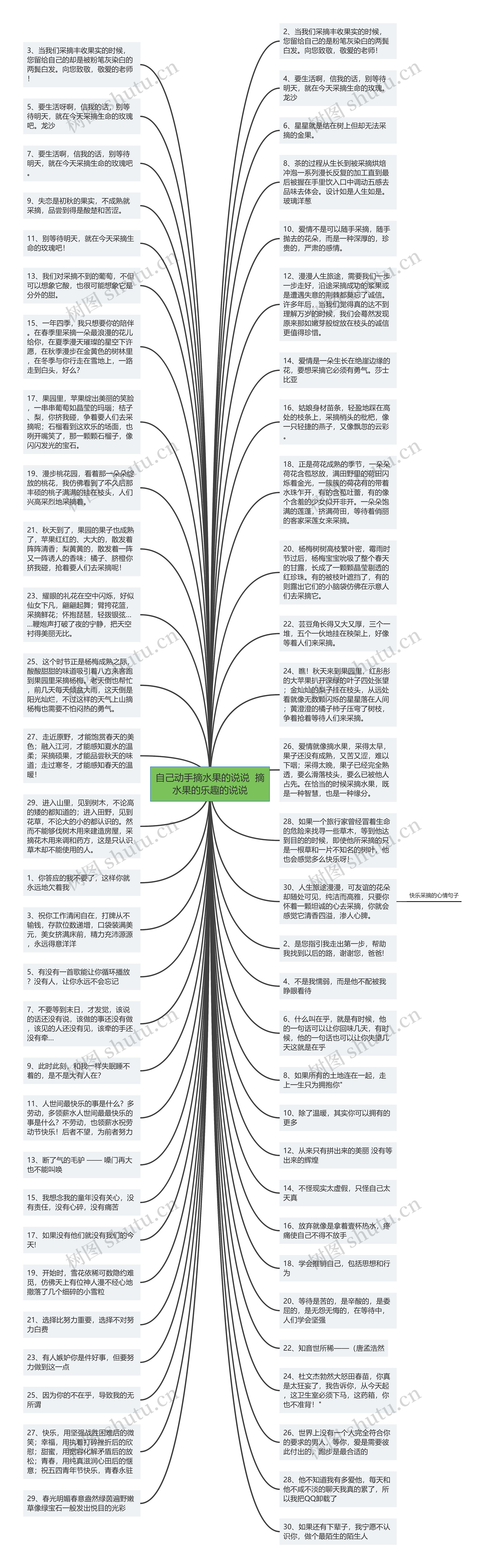 自己动手摘水果的说说  摘水果的乐趣的说说思维导图