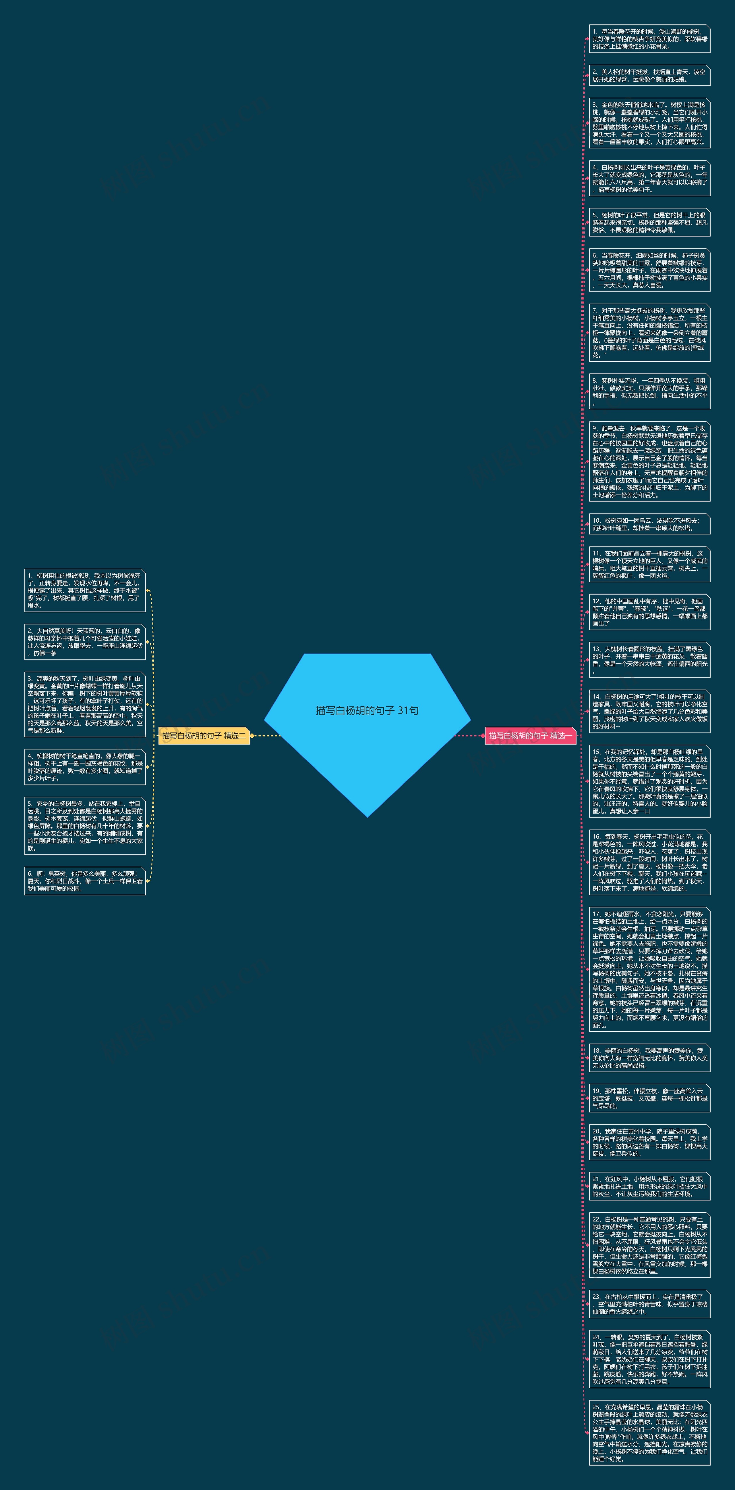 描写白杨胡的句子 31句思维导图