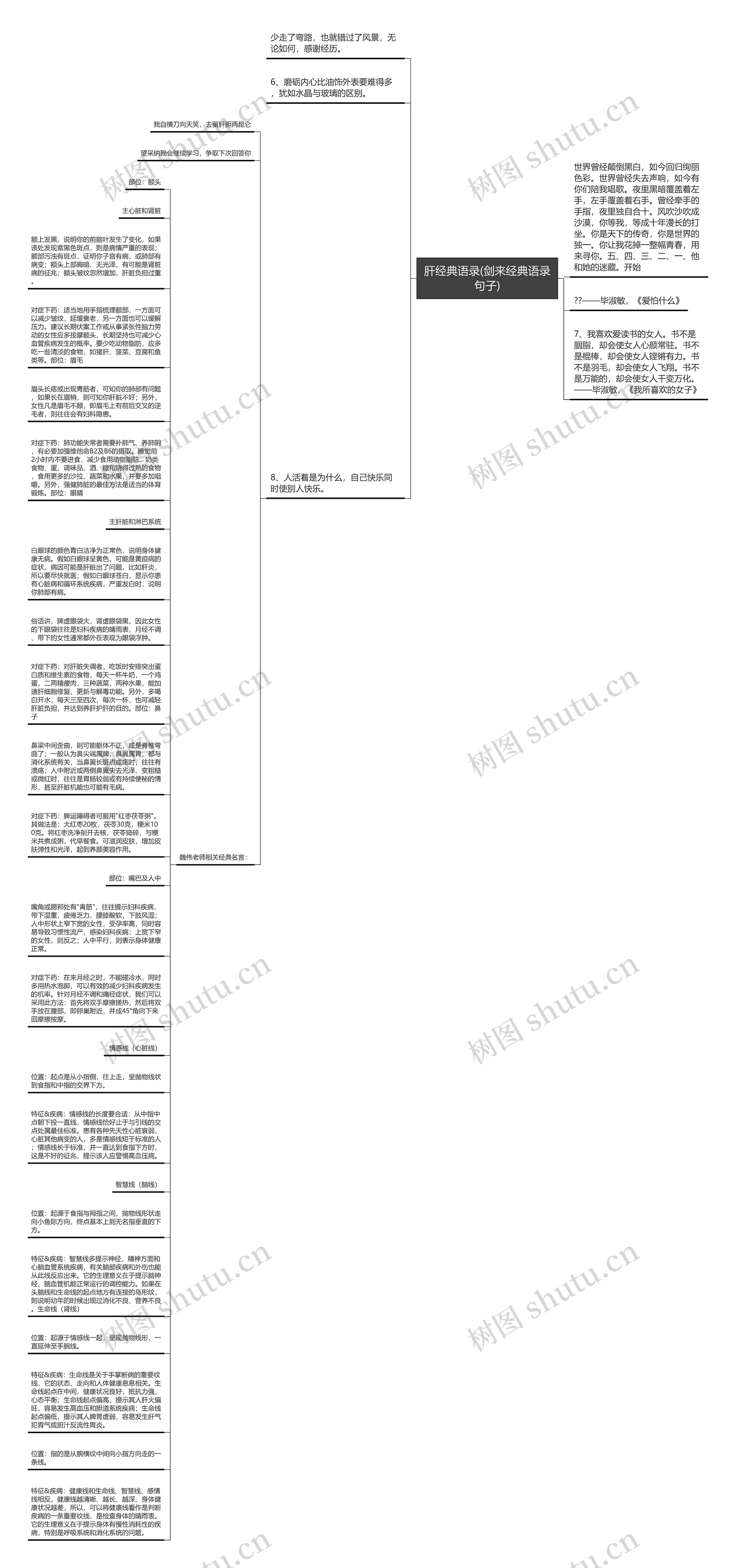 肝经典语录(剑来经典语录句子)思维导图