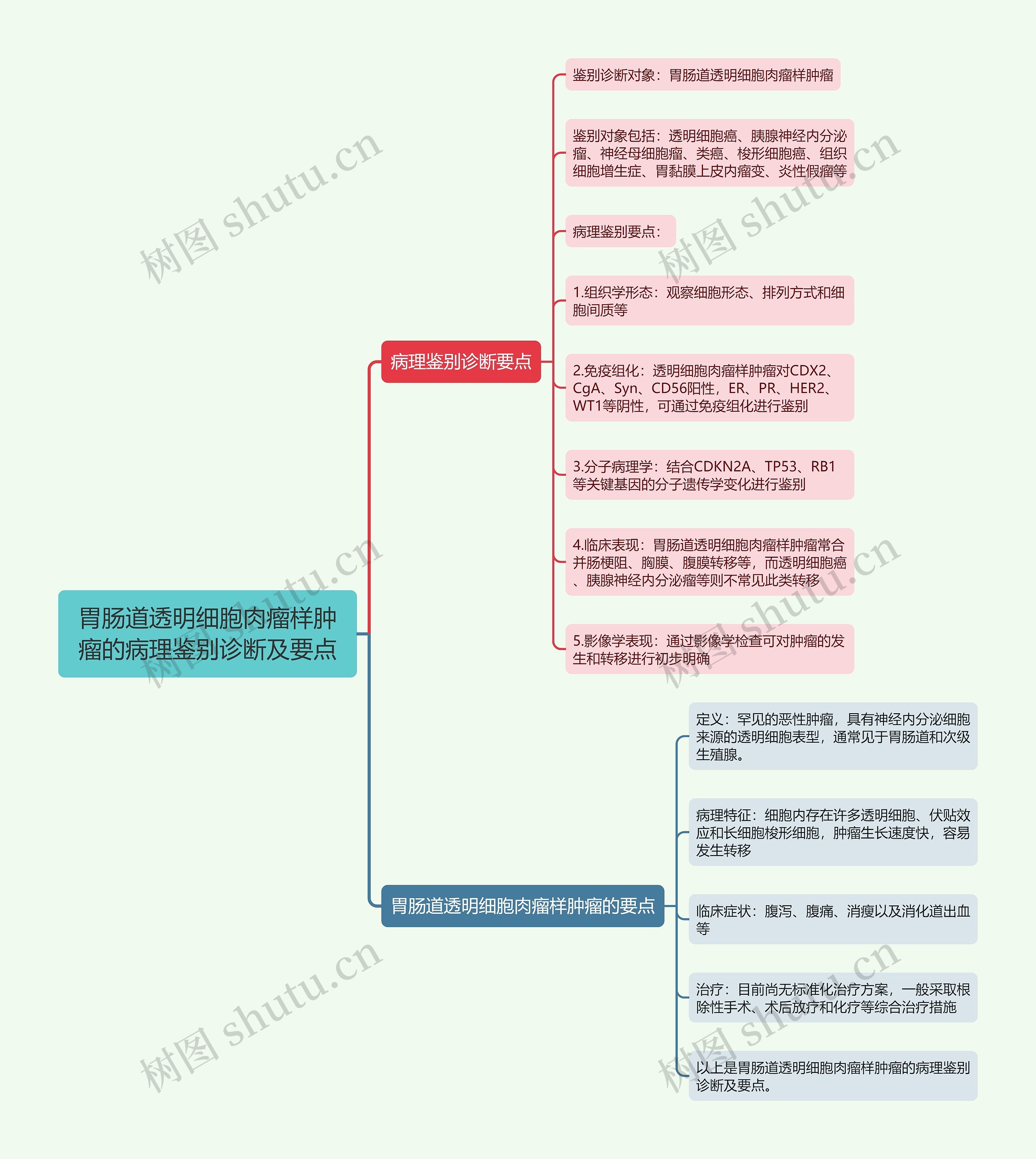 胃肠道透明细胞肉瘤样肿瘤的病理鉴别诊断及要点思维导图