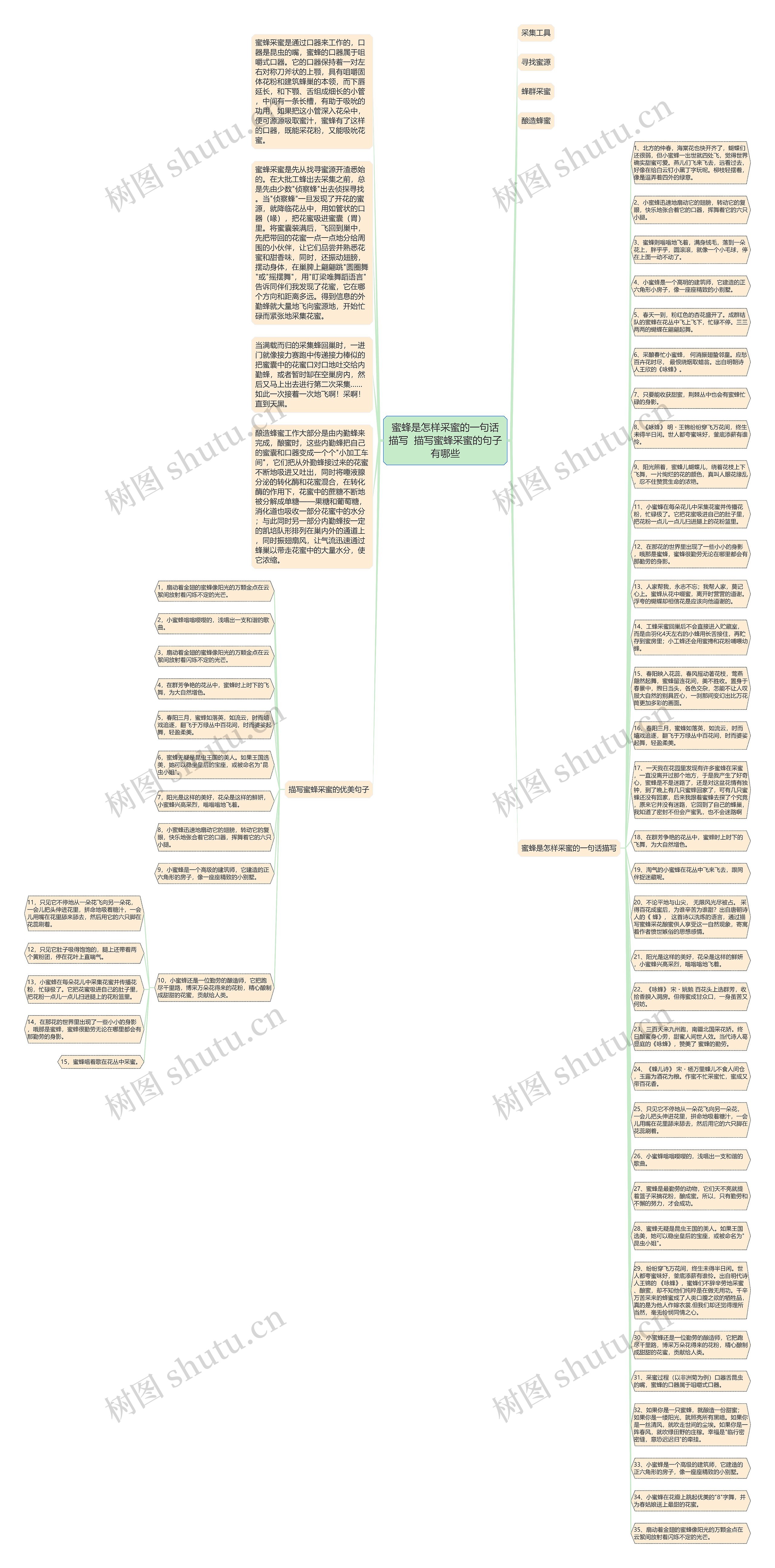 蜜蜂是怎样采蜜的一句话描写  描写蜜蜂采蜜的句子有哪些思维导图