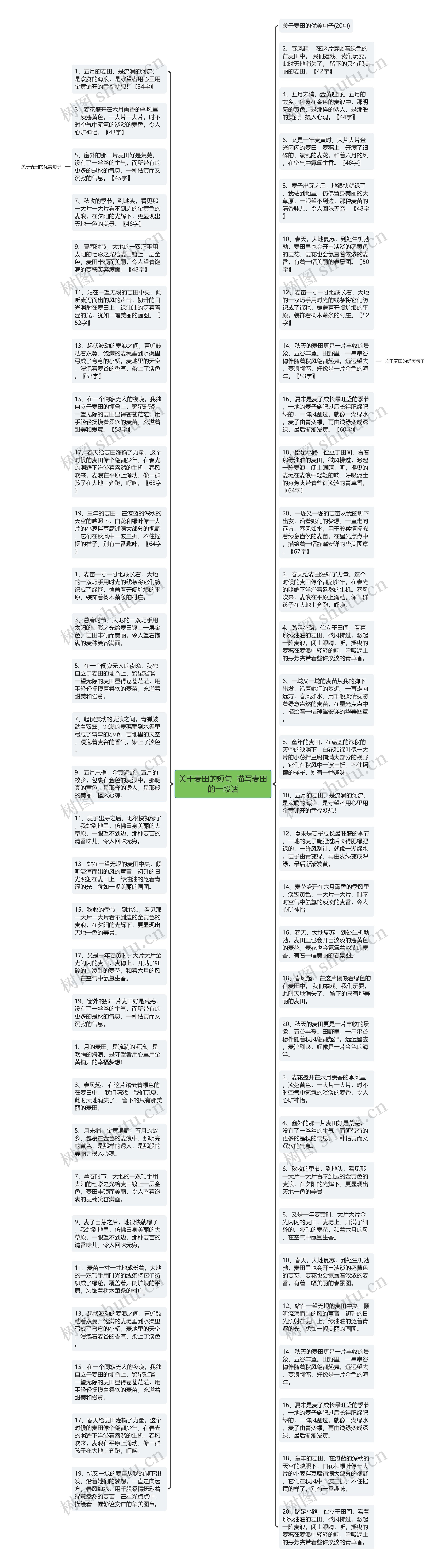 关于麦田的短句  描写麦田的一段话思维导图