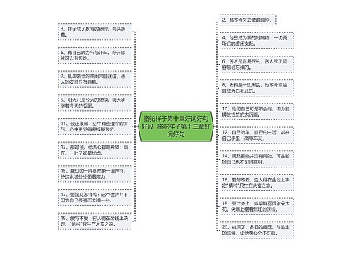 骆驼祥子第十章好词好句好段  骆驼祥子第十三章好词好句