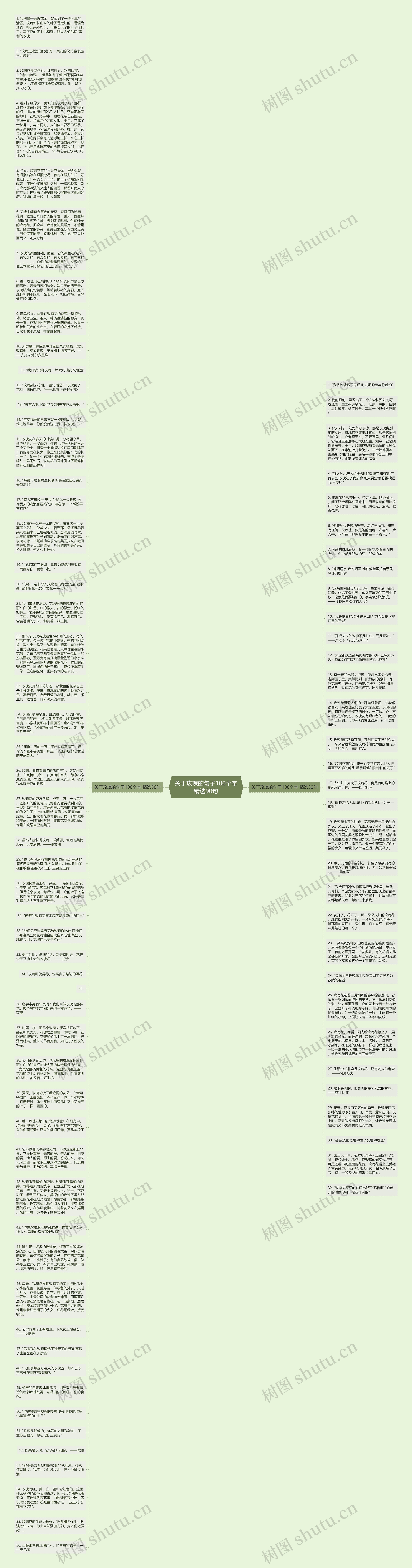 关于玫瑰的句子100个字精选90句