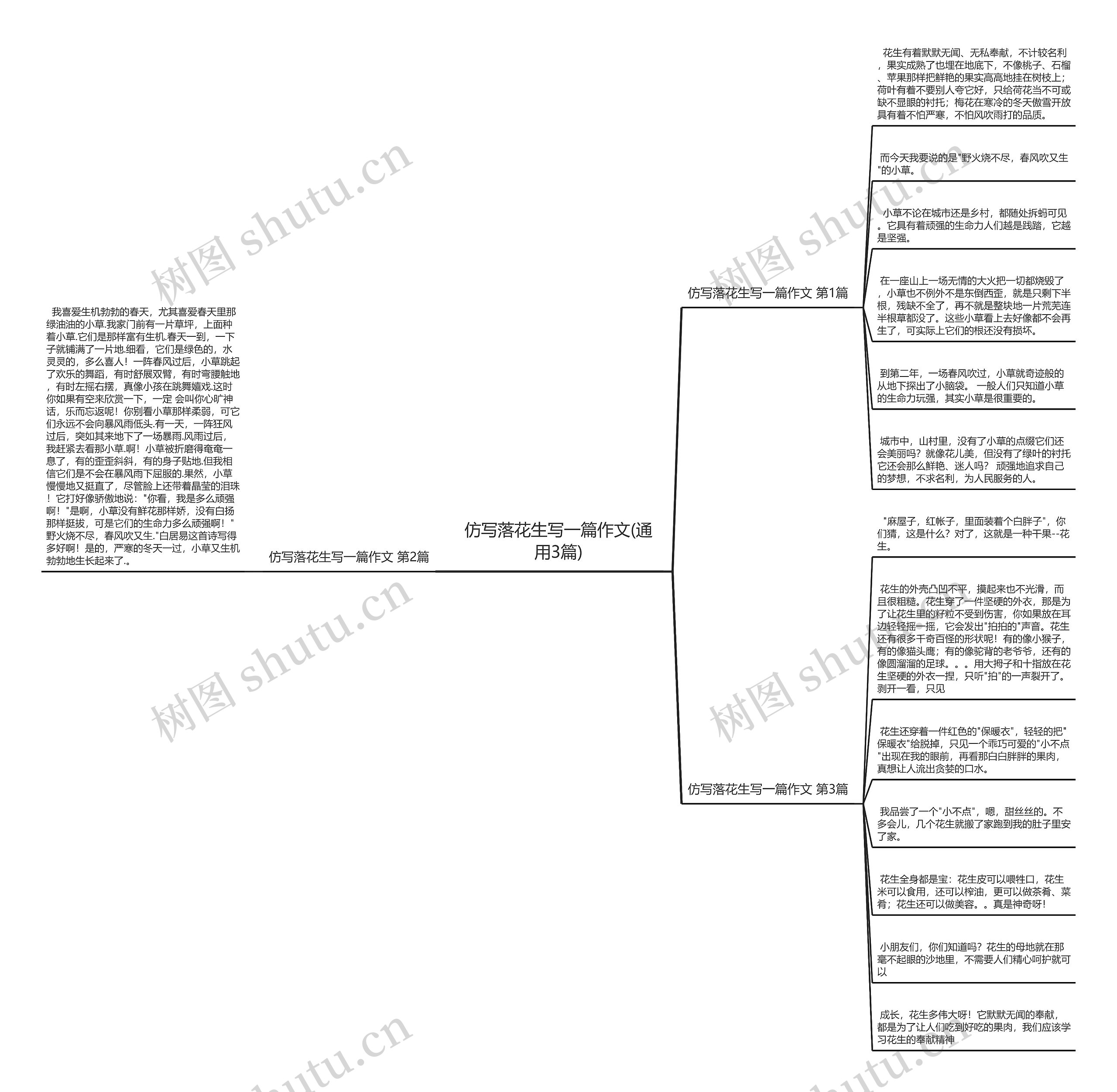 仿写落花生写一篇作文(通用3篇)思维导图