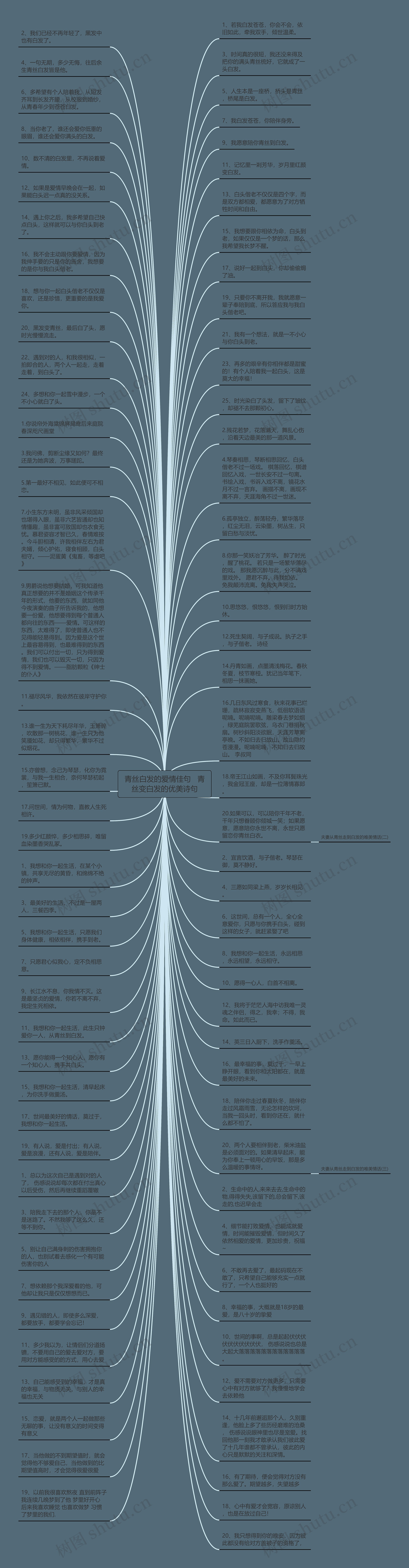青丝白发的爱情佳句   青丝变白发的优美诗句