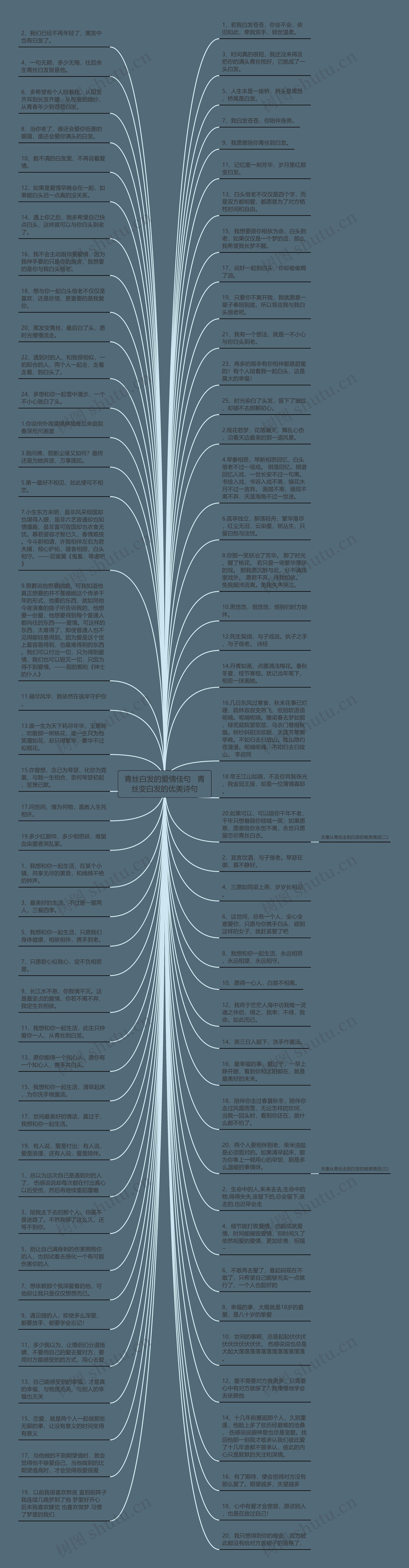 青丝白发的爱情佳句   青丝变白发的优美诗句思维导图