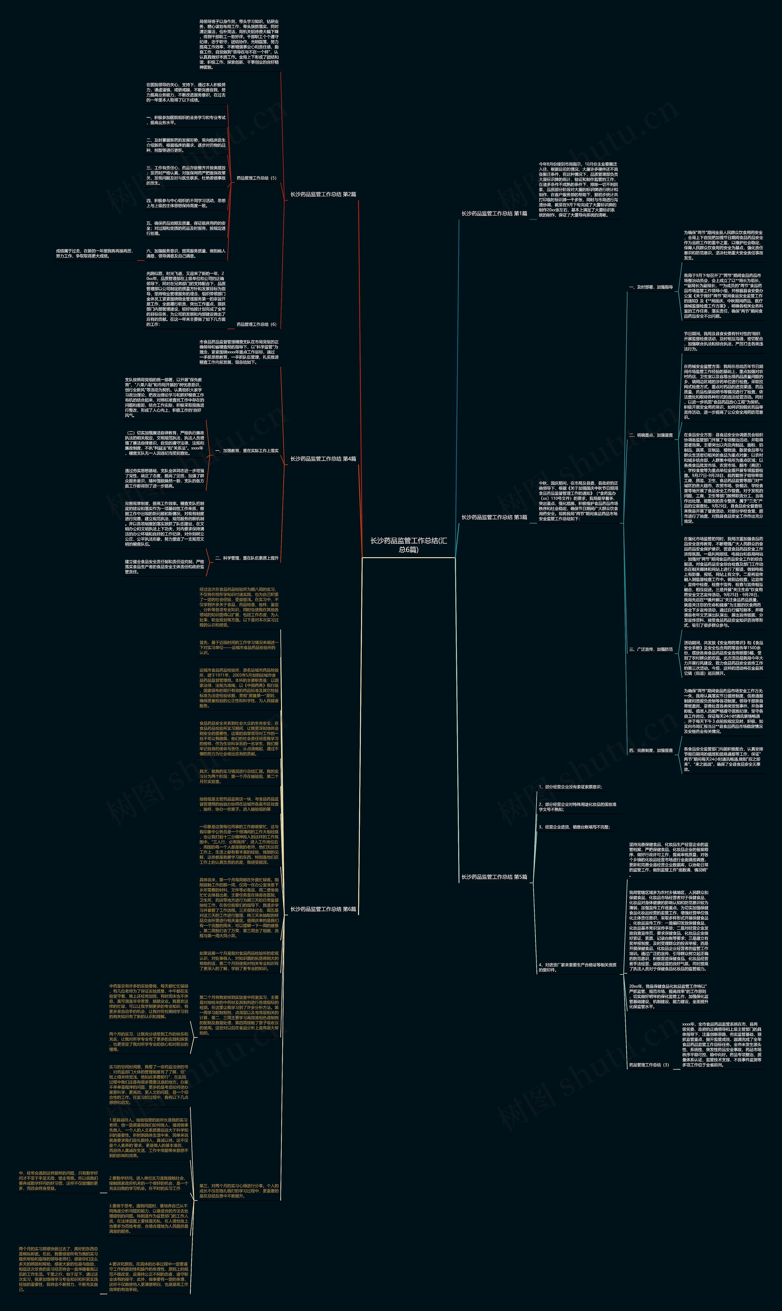 长沙药品监管工作总结(汇总6篇)思维导图