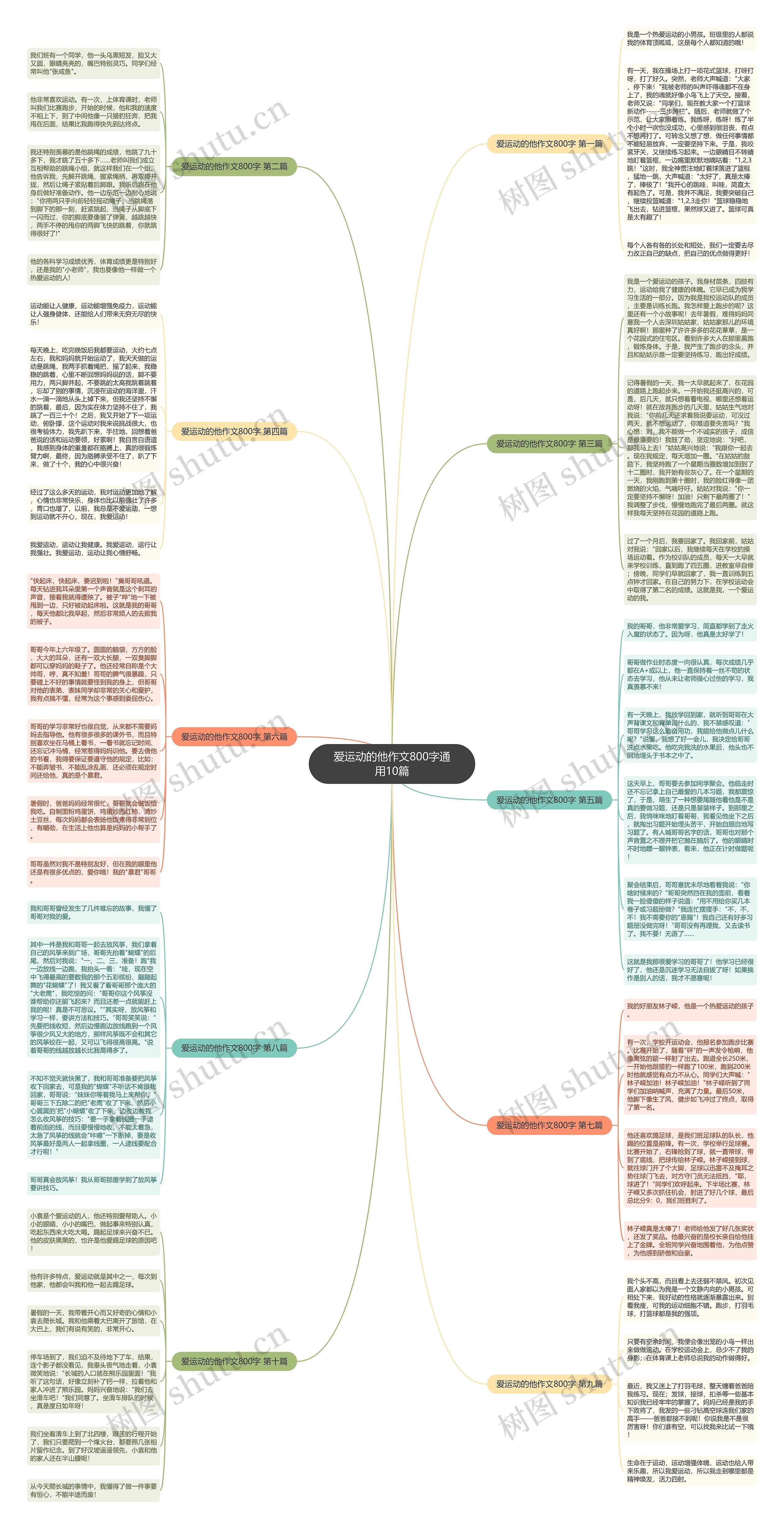 爱运动的他作文800字通用10篇思维导图