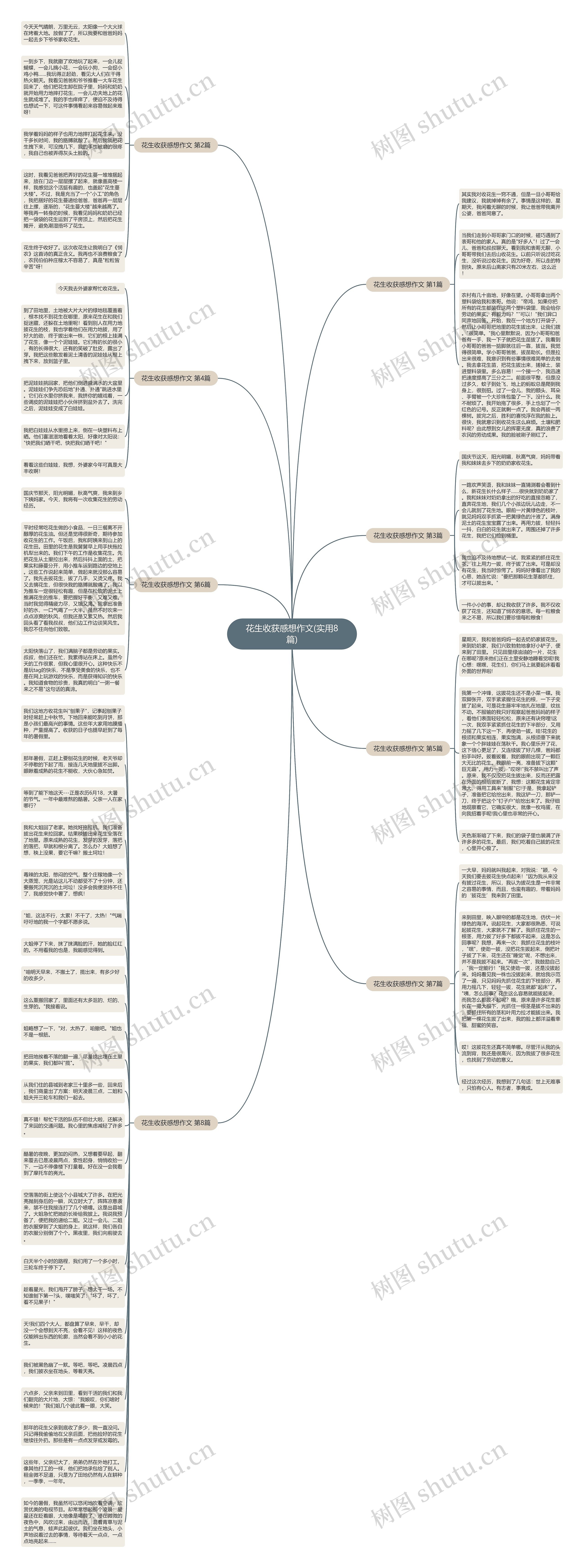花生收获感想作文(实用8篇)思维导图
