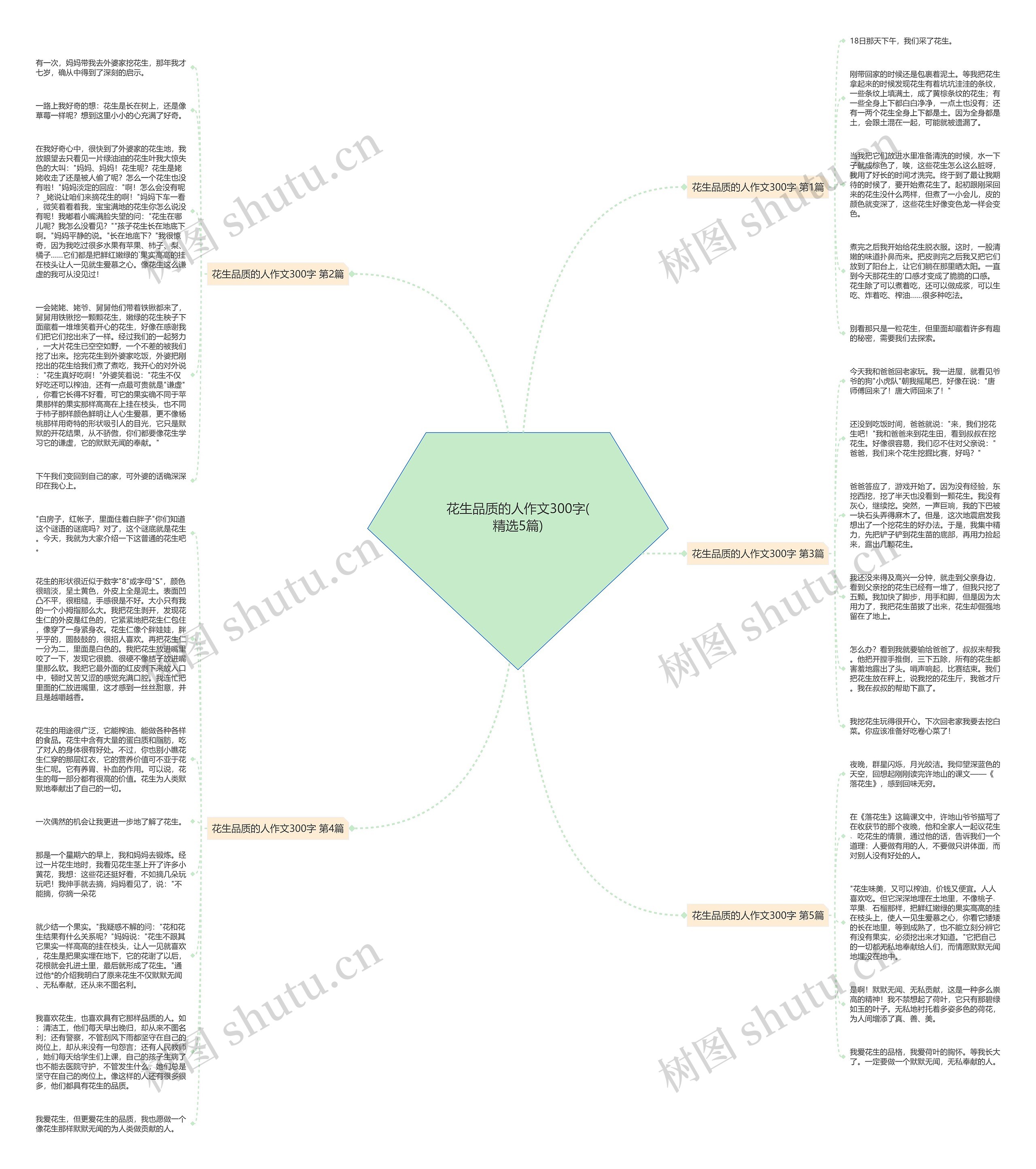 花生品质的人作文300字(精选5篇)思维导图