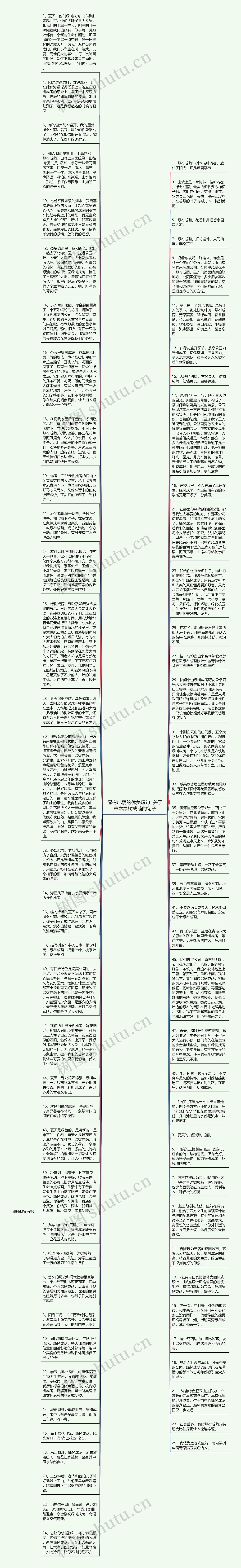 绿树成荫的优美短句  关于草木绿树成荫的句子思维导图