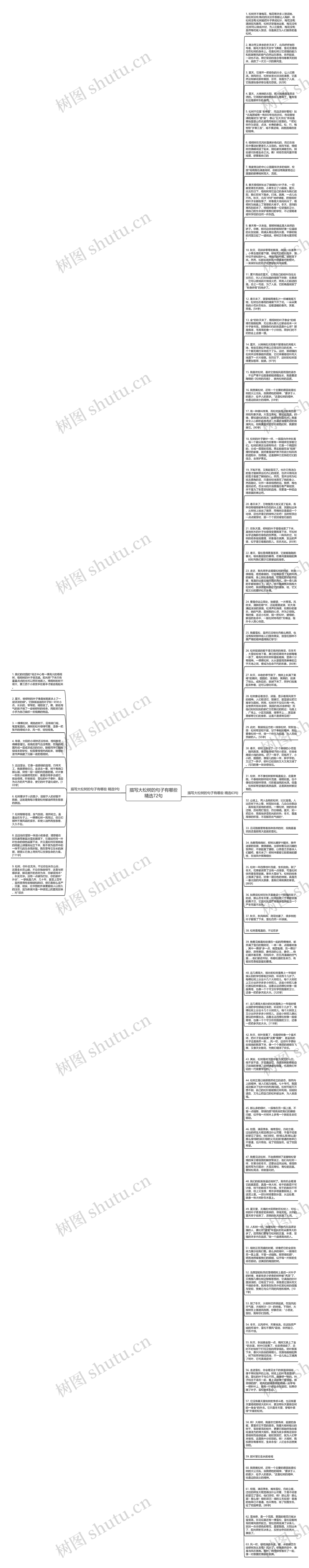 描写大松树的句子有哪些精选72句思维导图
