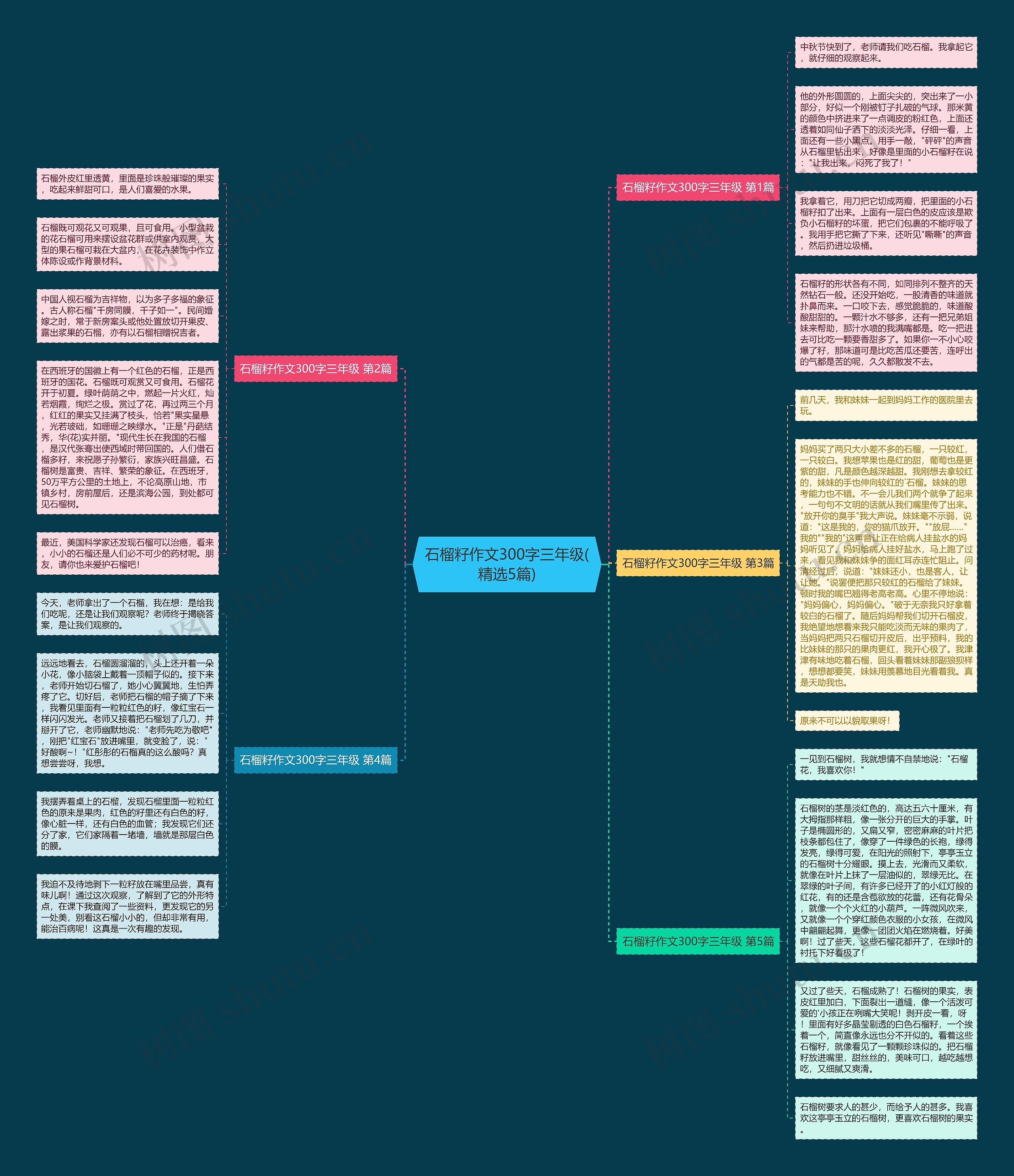 石榴籽作文300字三年级(精选5篇) 石榴籽作文300字三年级(精选5篇)