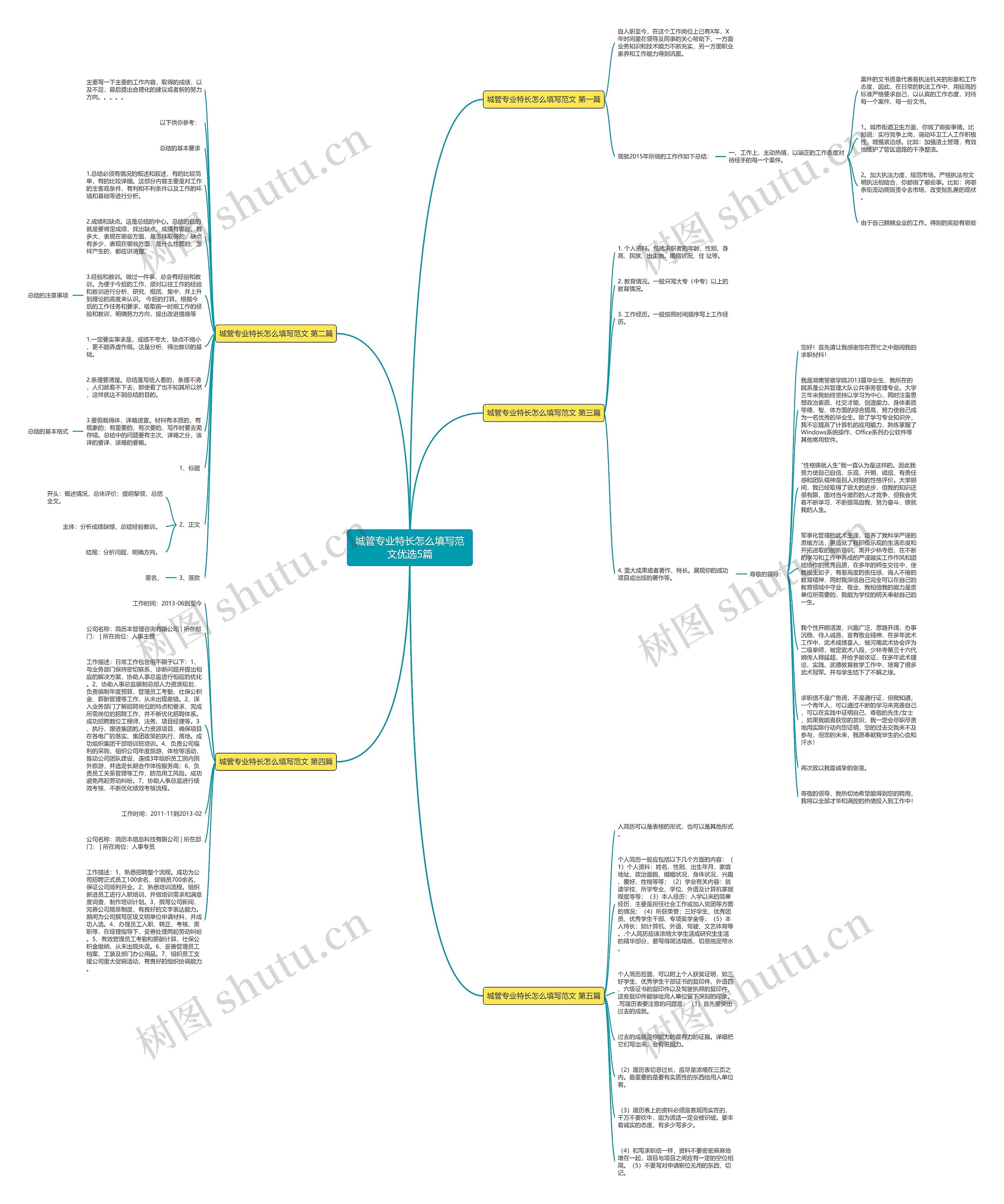 城管专业特长怎么填写范文优选5篇思维导图
