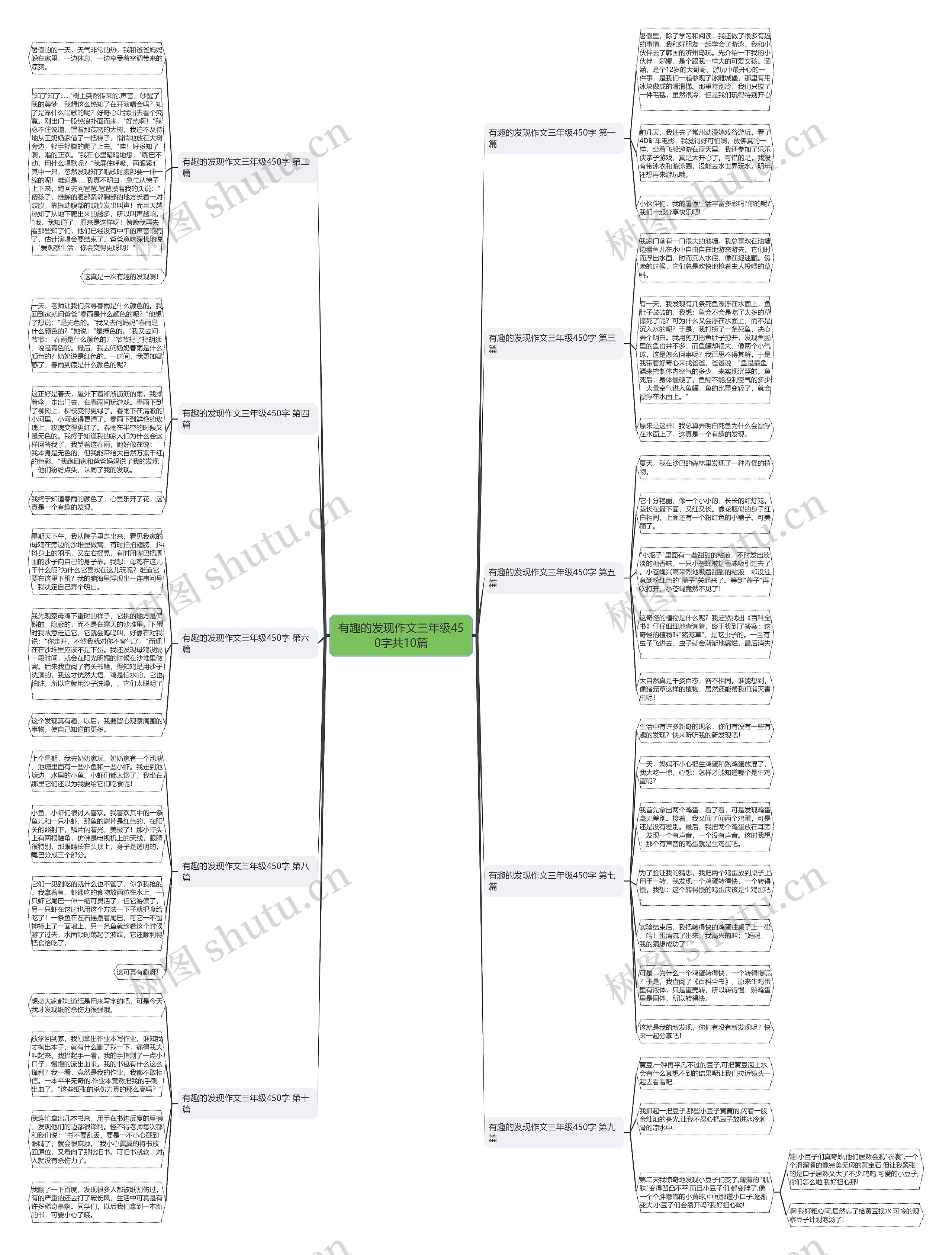 有趣的发现作文三年级450字共10篇 有趣的发现作文三年级450字共10篇