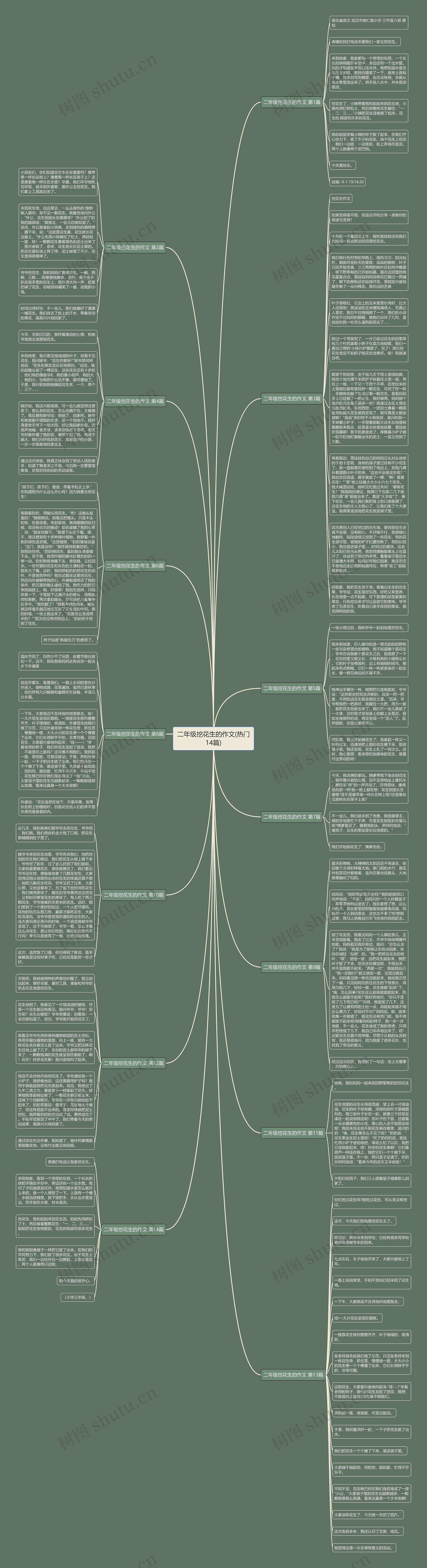 二年级挖花生的作文(热门14篇)思维导图