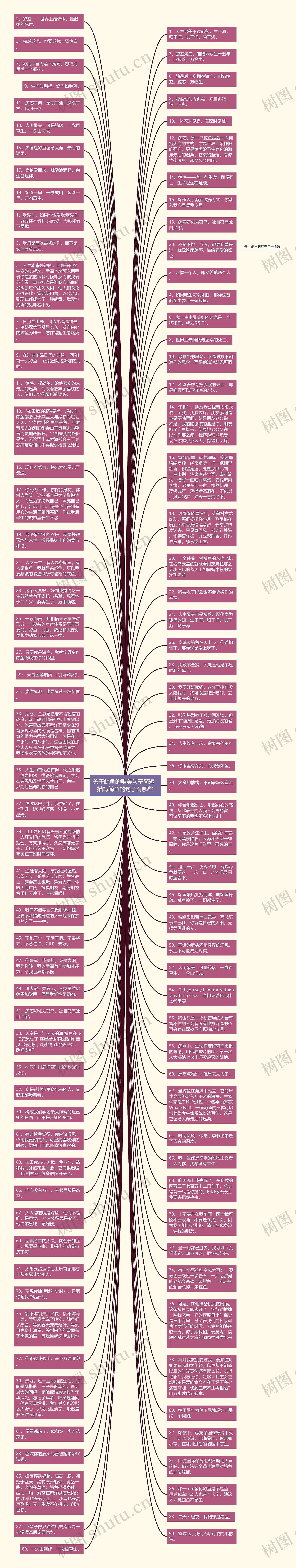 关于鲸鱼的唯美句子简短  描写鲸鱼的句子有哪些思维导图