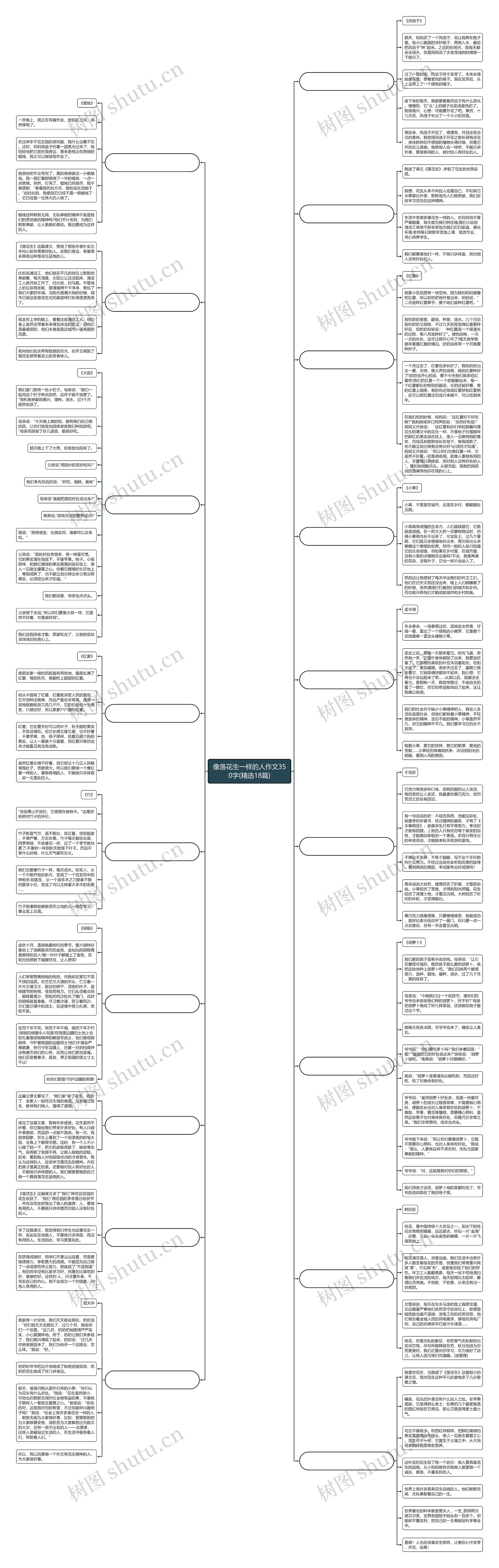 像落花生一样的人作文350字(精选18篇)思维导图