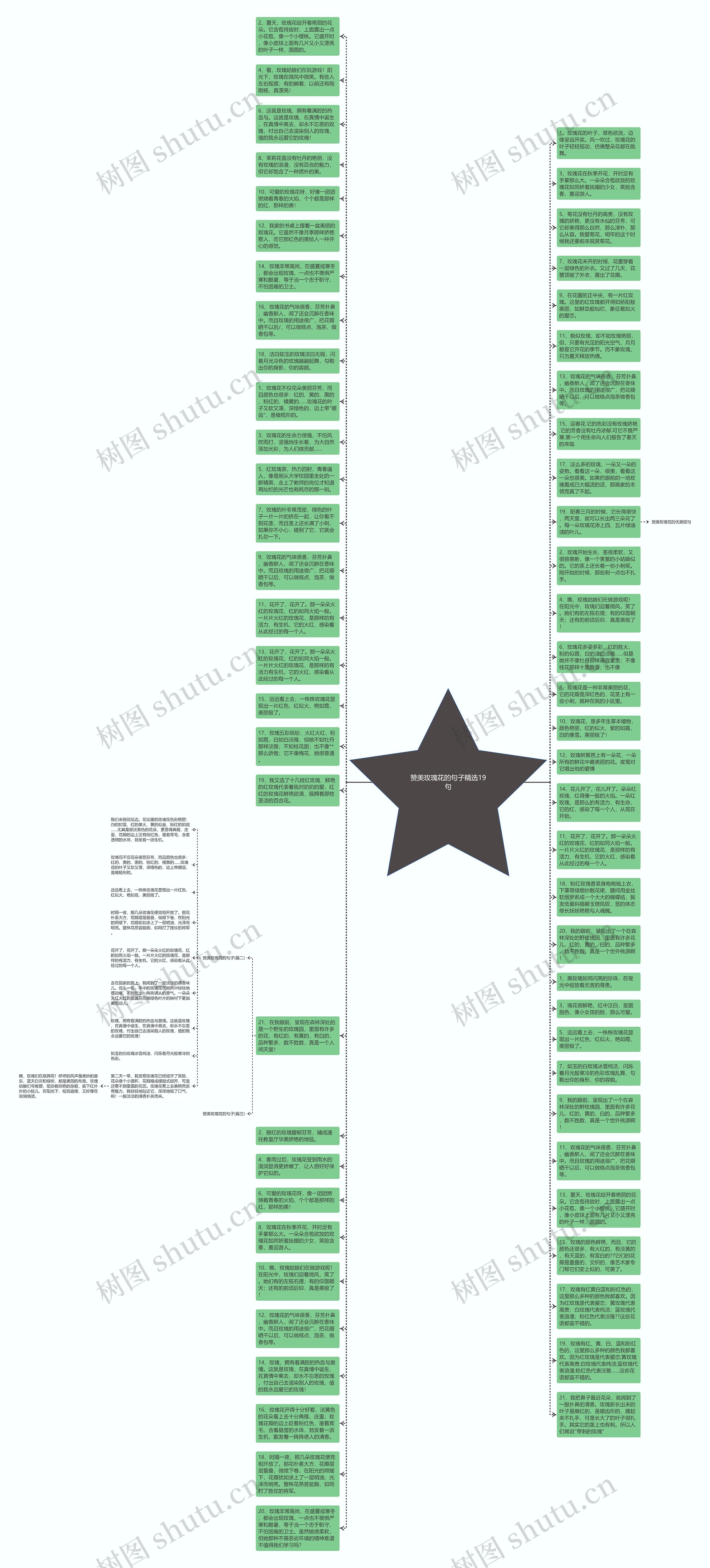 赞美玫瑰花的句子精选19句思维导图
