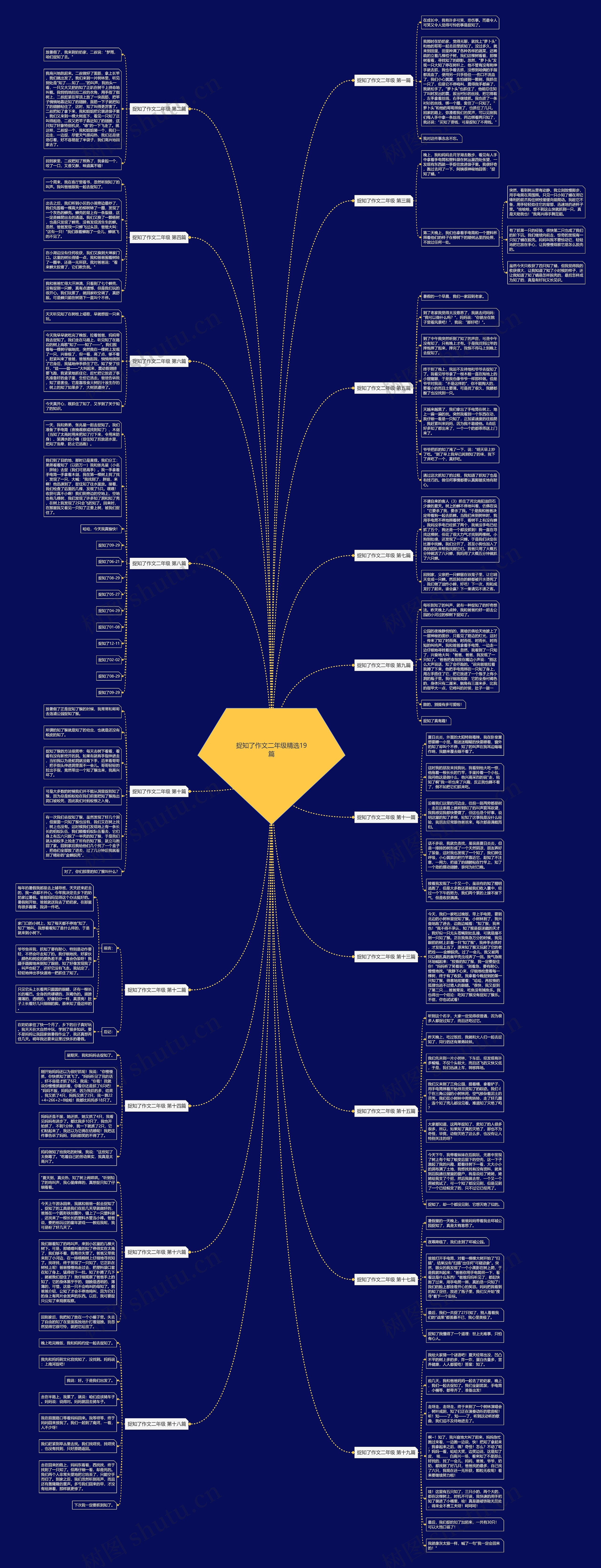 捉知了作文二年级精选19篇 捉知了作文二年级精选19篇