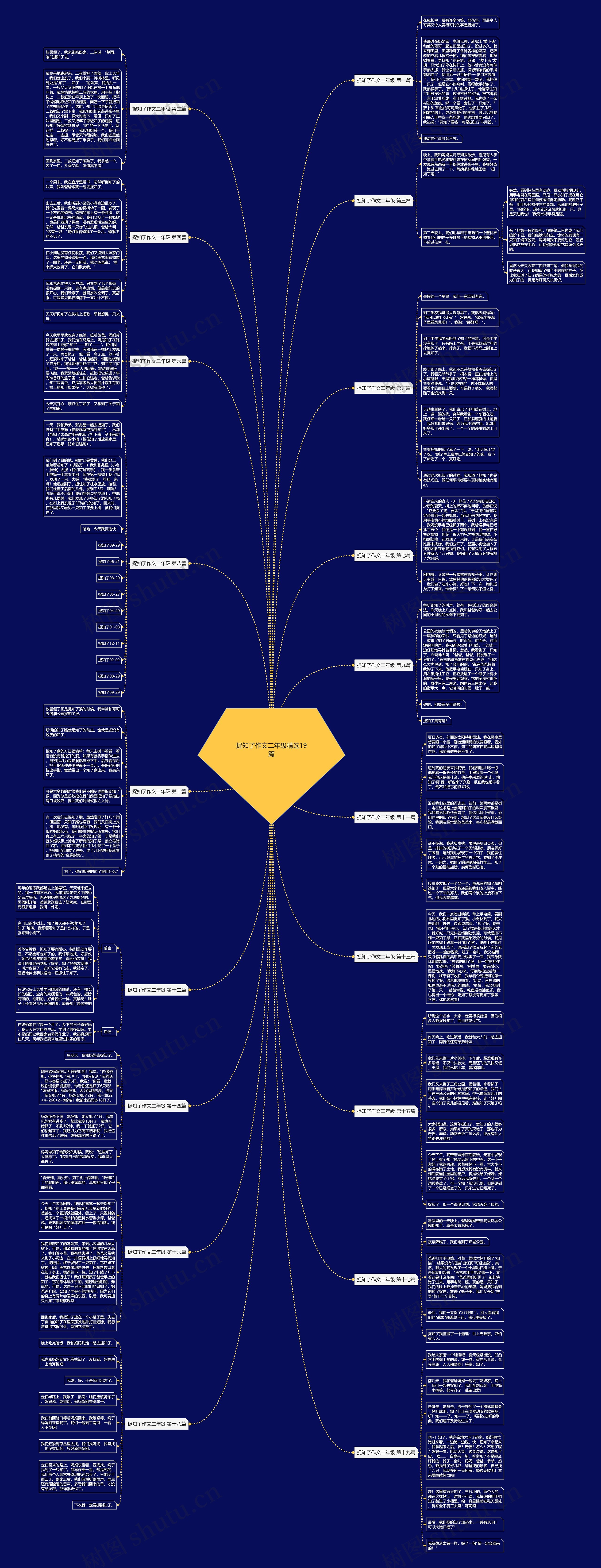 捉知了作文二年级精选19篇思维导图