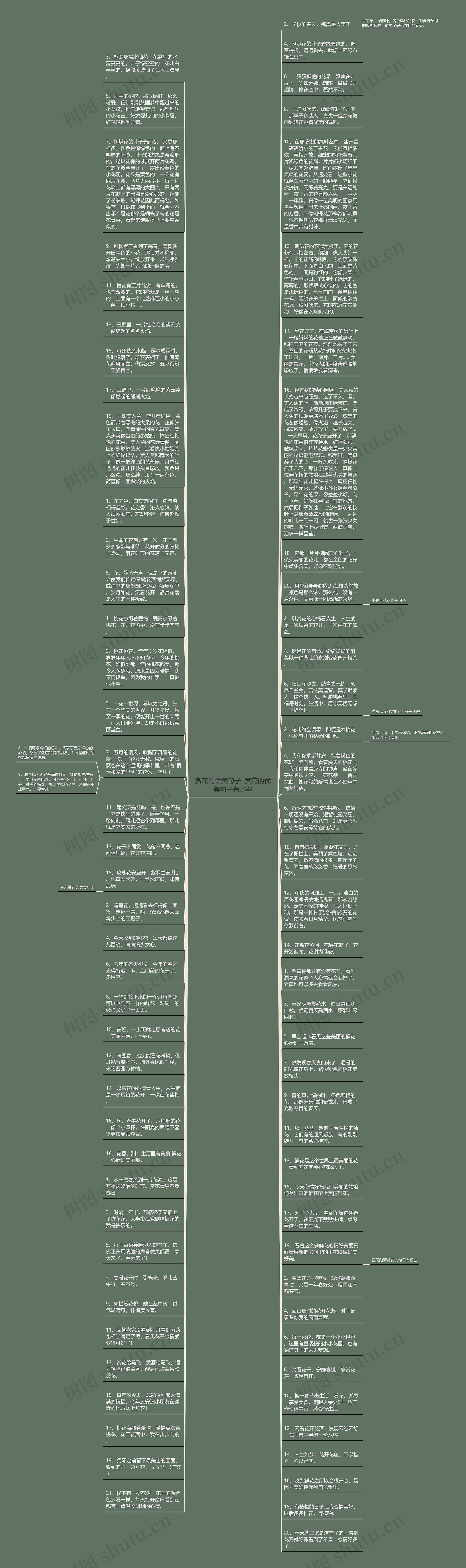 赏花的优美句子  赏花的优美句子有哪些思维导图