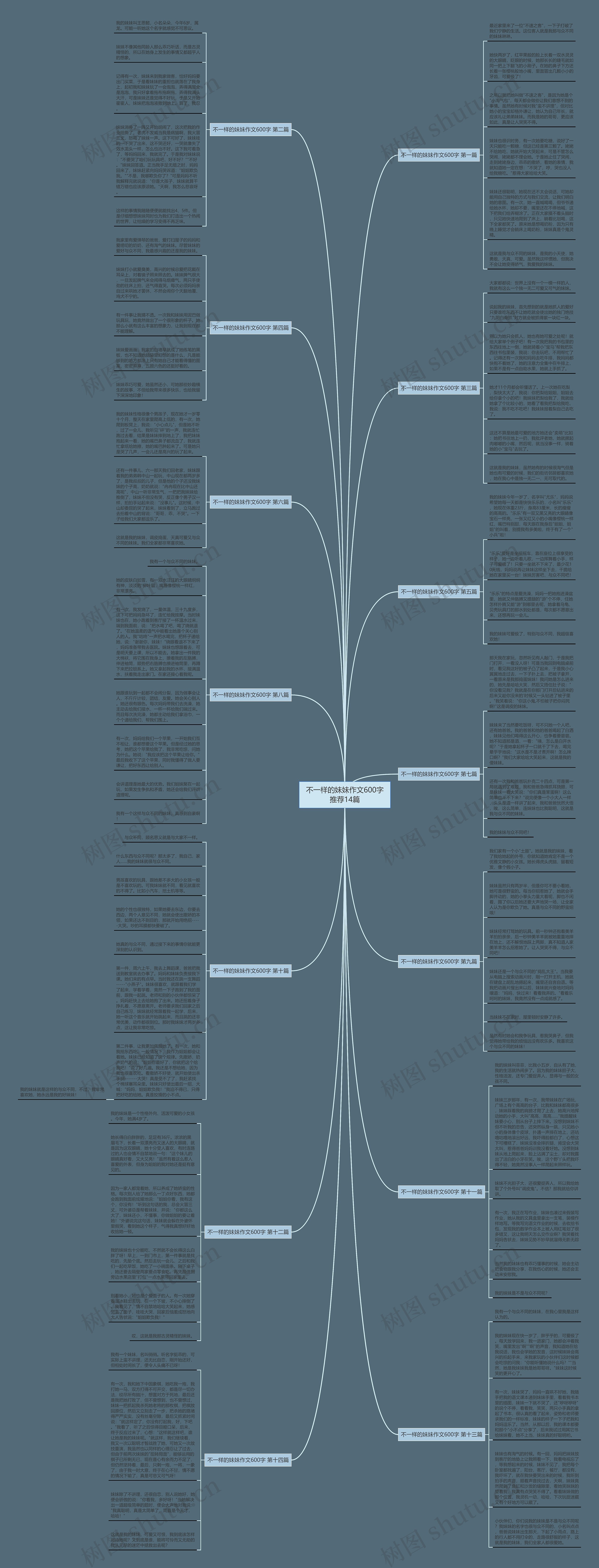 不一样的妹妹作文600字推荐14篇思维导图